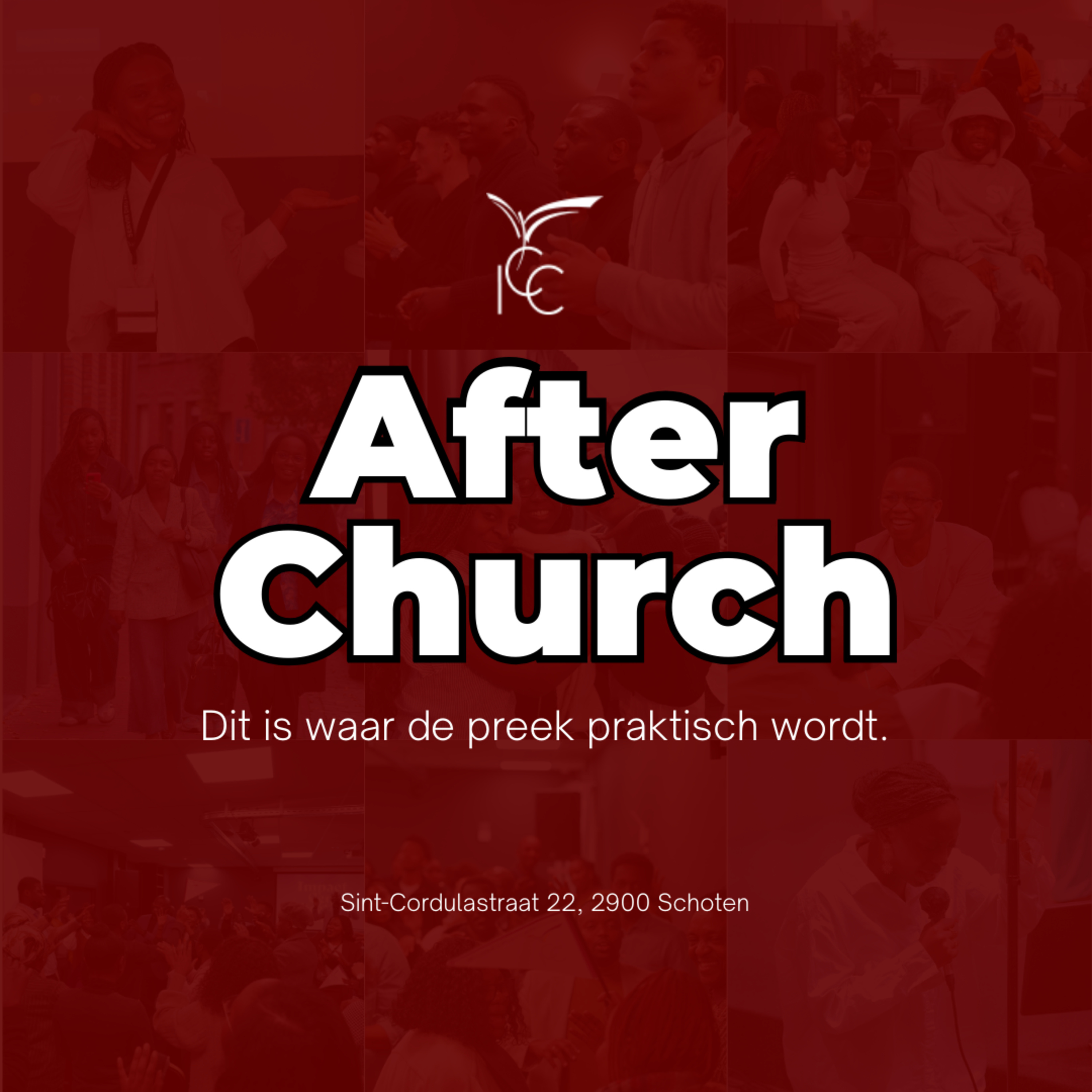 Echte dankbaarheid episode artwork