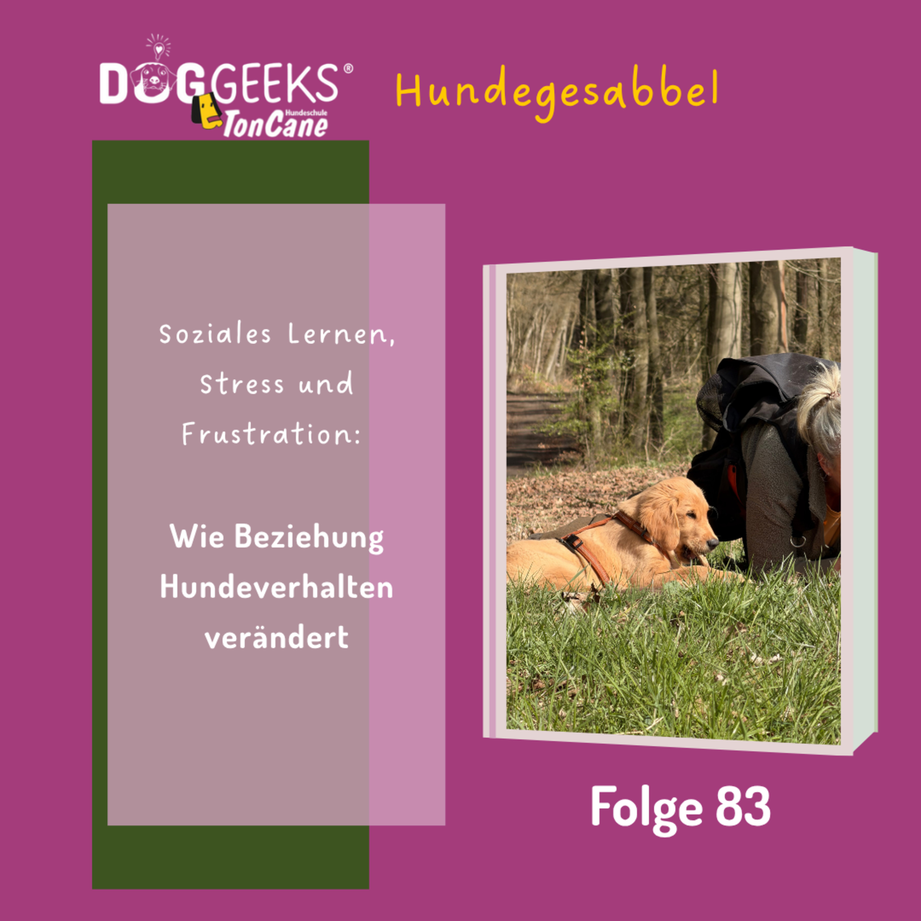 #83 Soziales Lernen, Stress und Frustration: Wie Beziehung Hundeverhalten verändert
