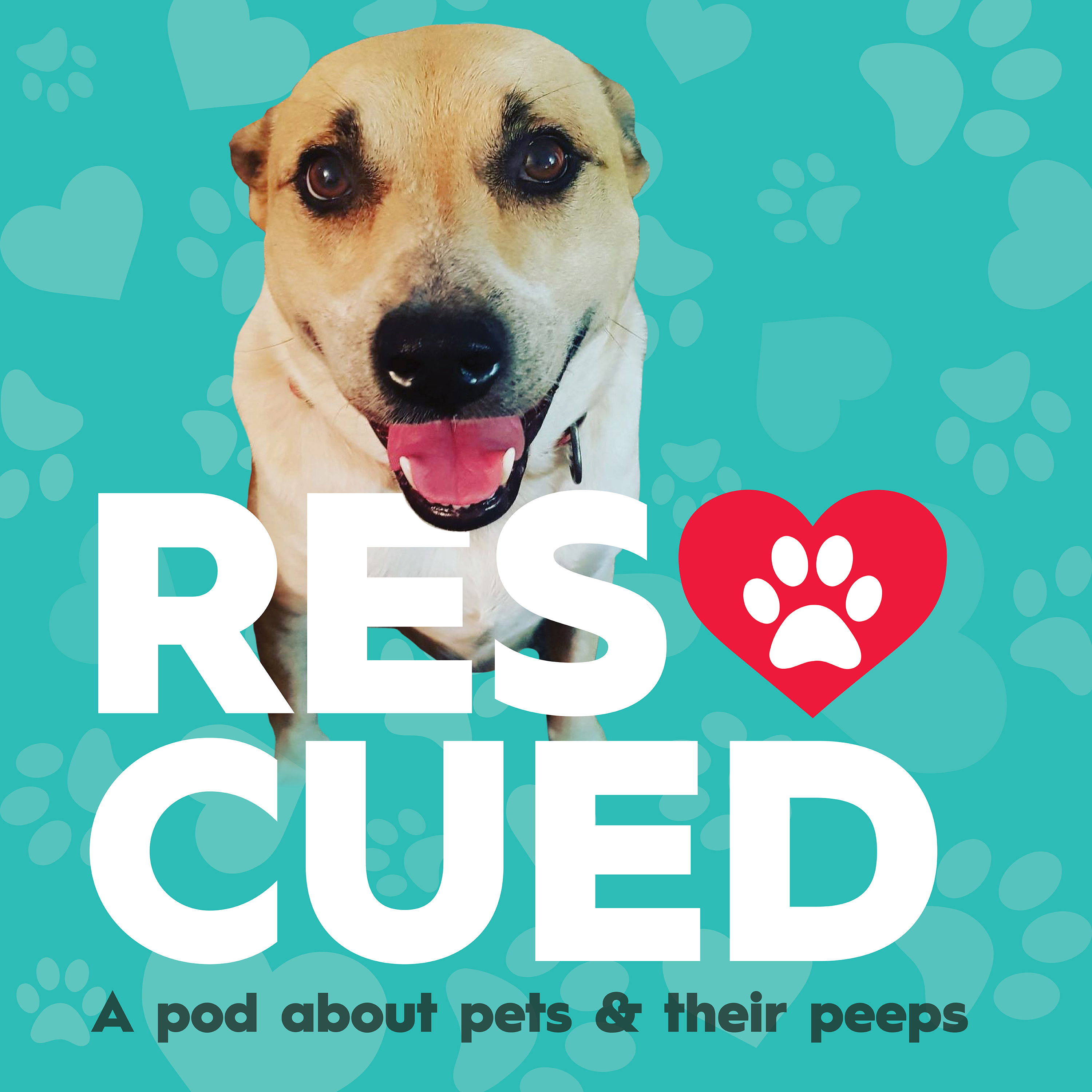 Rescued - Greta Stanley, Stormy and Zephyr episode artwork