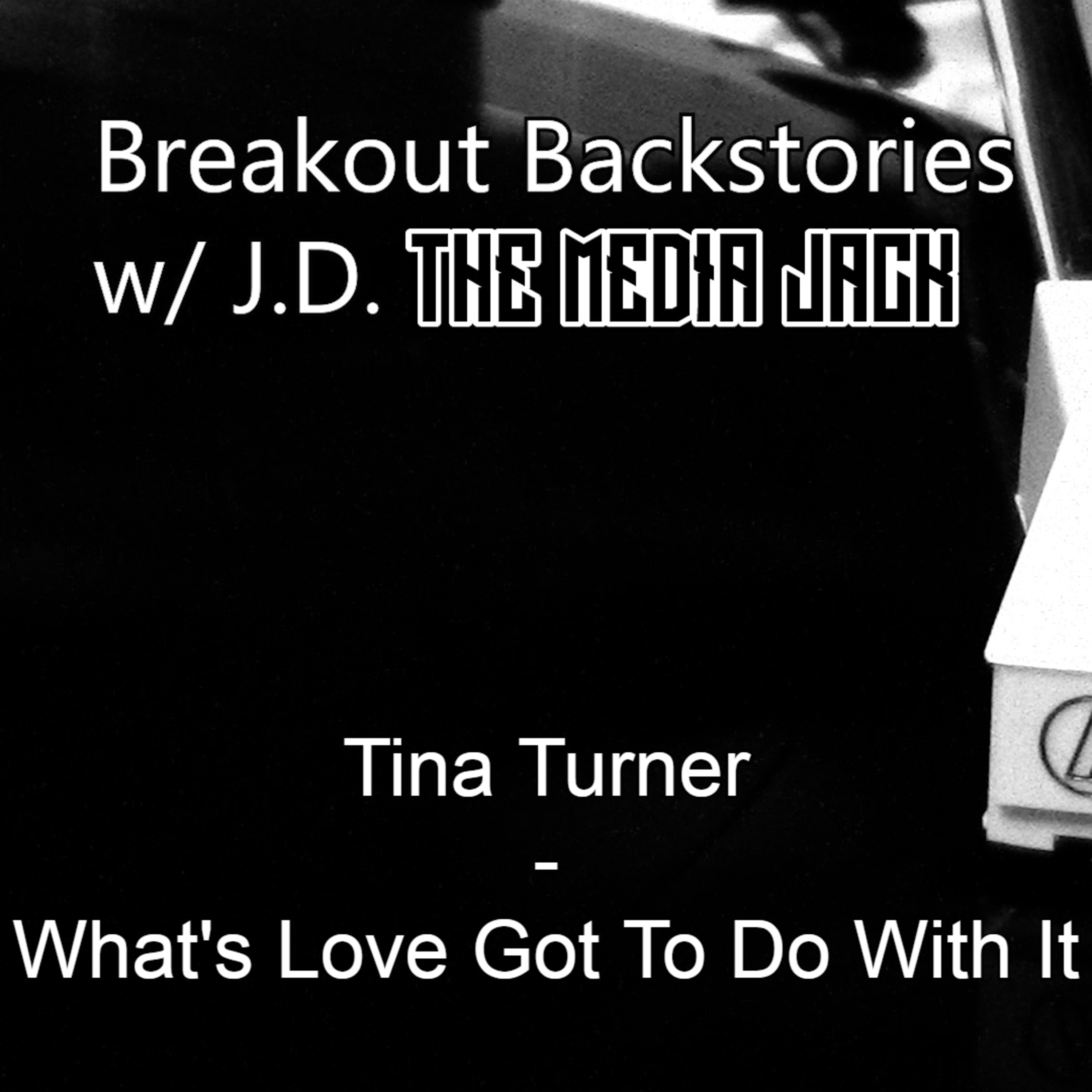 Tina Turner - What's Love Got To Do With It episode artwork