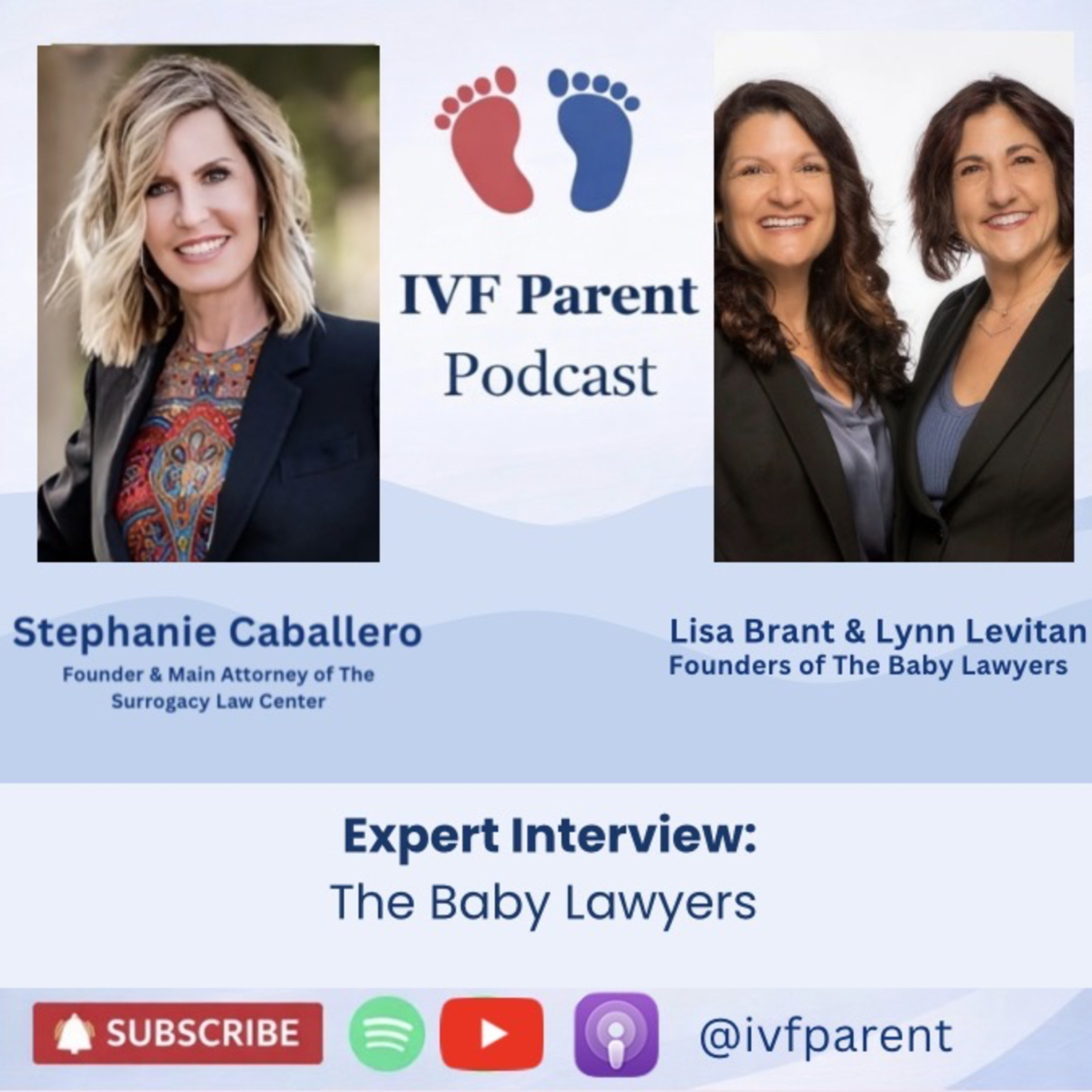 Interviewing Lisa and Lynn, founders of The Baby Lawyers. episode artwork
