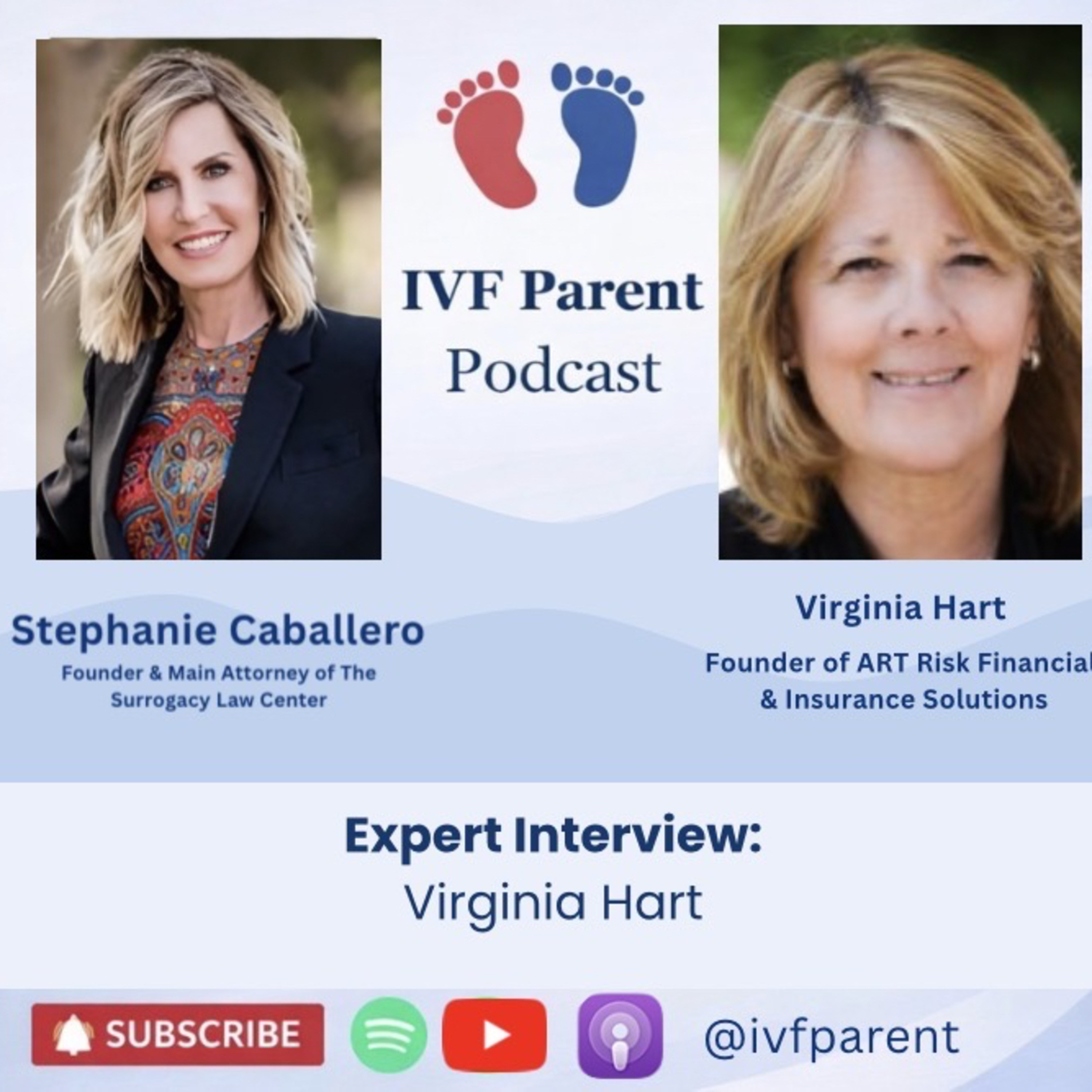 Interviewing Virginia Hart Founder of ART Risk Financial & Insurance Solutions episode artwork