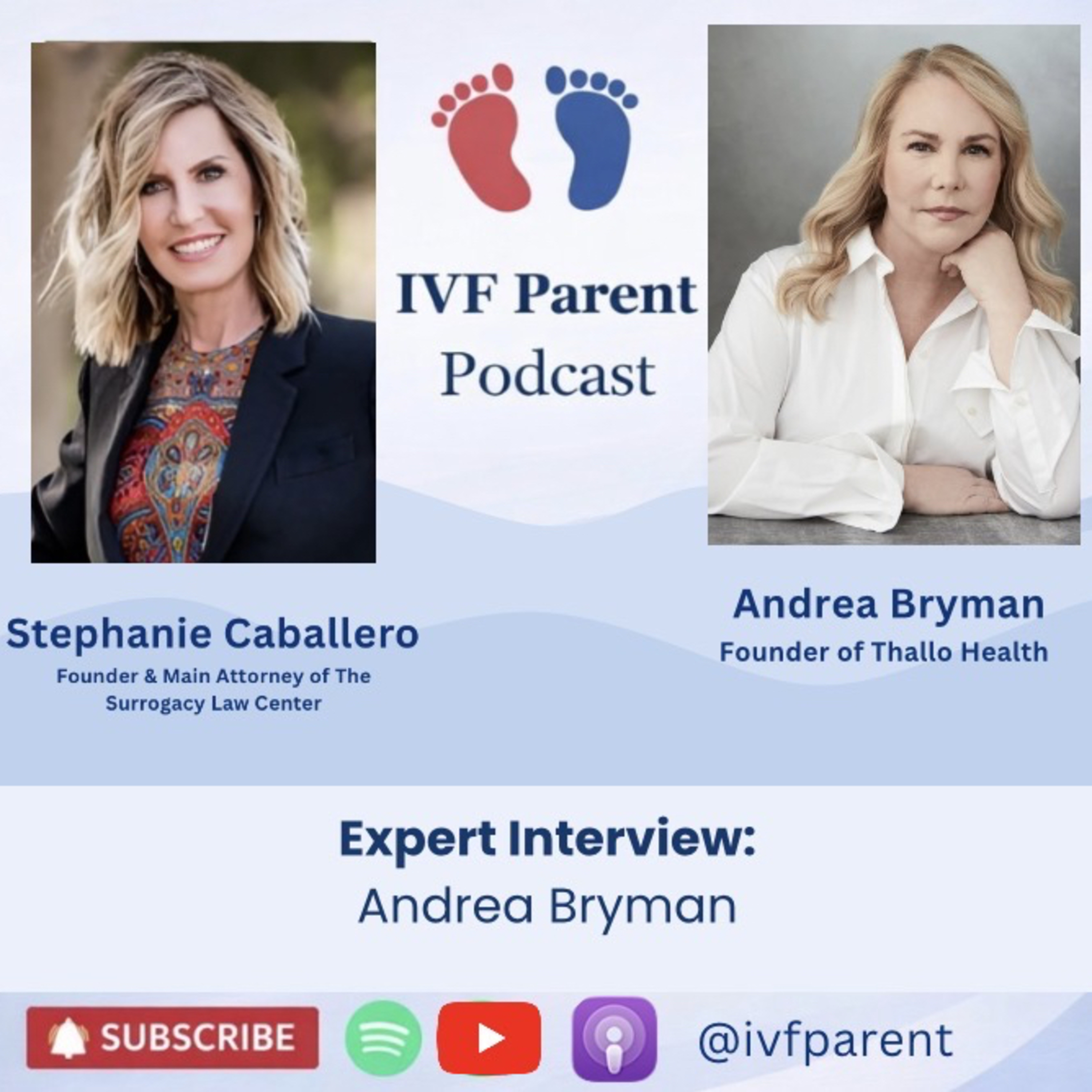 Interviewing Andrea Bryman episode artwork