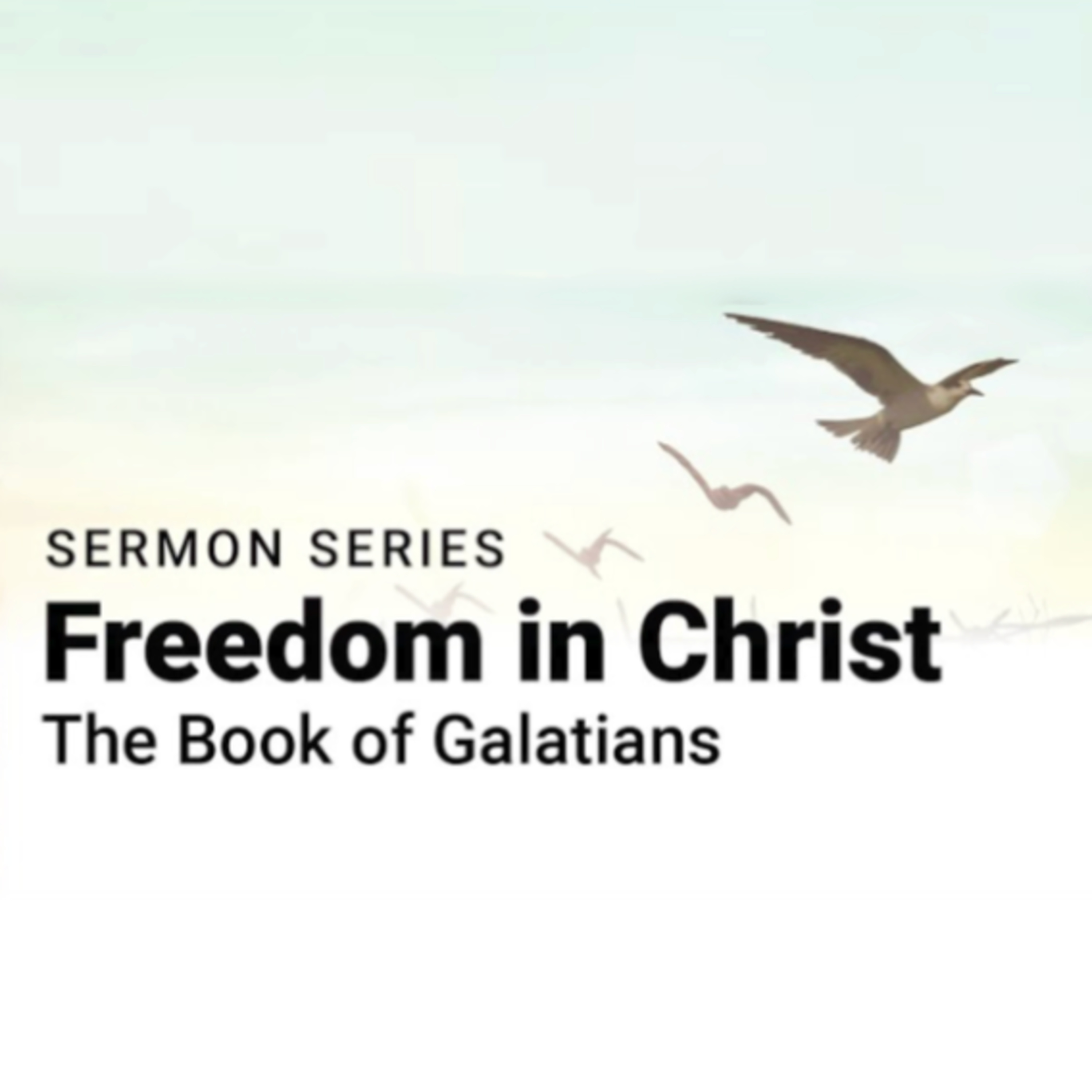 Galatians 5.16-25 | The Spirit-Led Life - A Call to Freedom | George Oliveira episode artwork