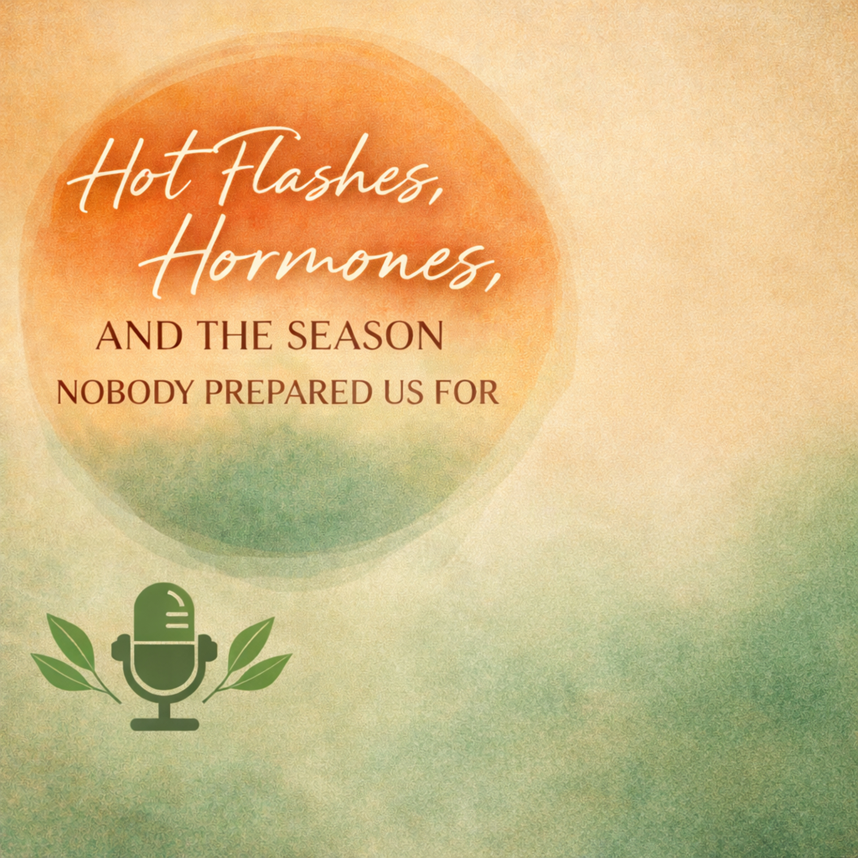 Hot Flashes, Hormones, and the Season Nobody Prepared Us For