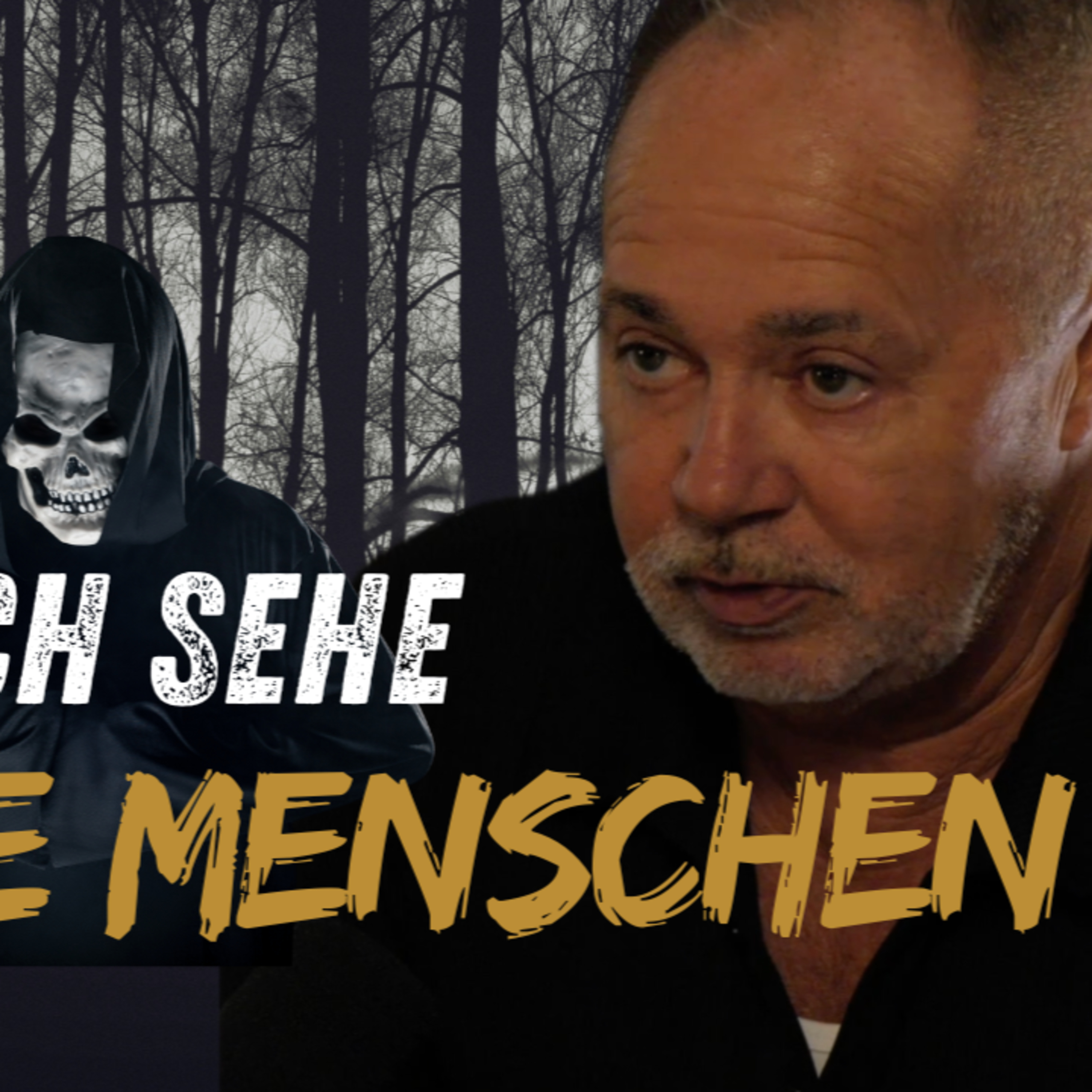 #27 Sie sprechen zu Mir - Stimmen aus dem Jenseits (Stefan Hermkes) episode artwork