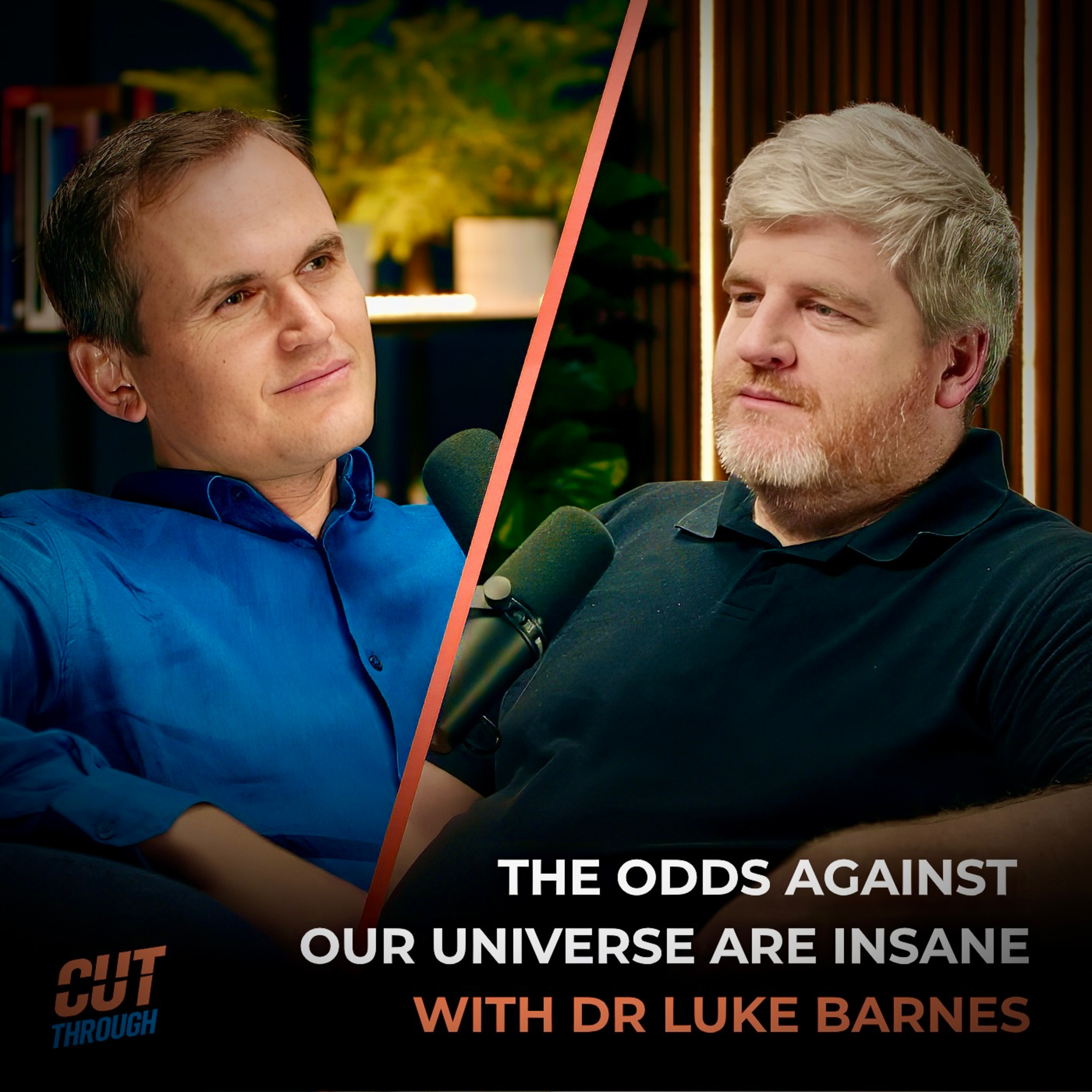 31. The Odds Against Our Universe Are Insane episode artwork