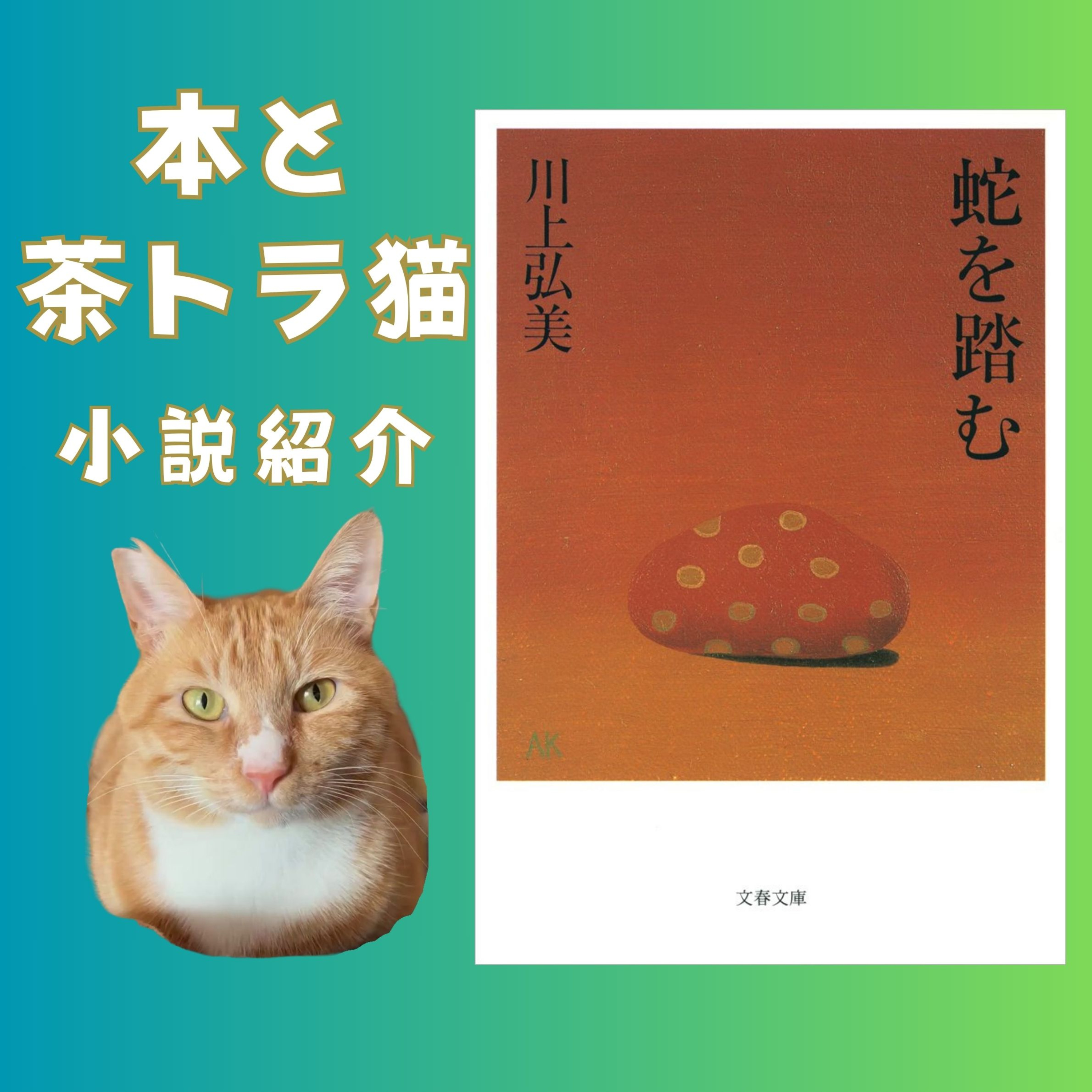 踏まれたらおしまいですね｜芥川賞受賞作 川上弘美『蛇を踏む』 episode artwork
