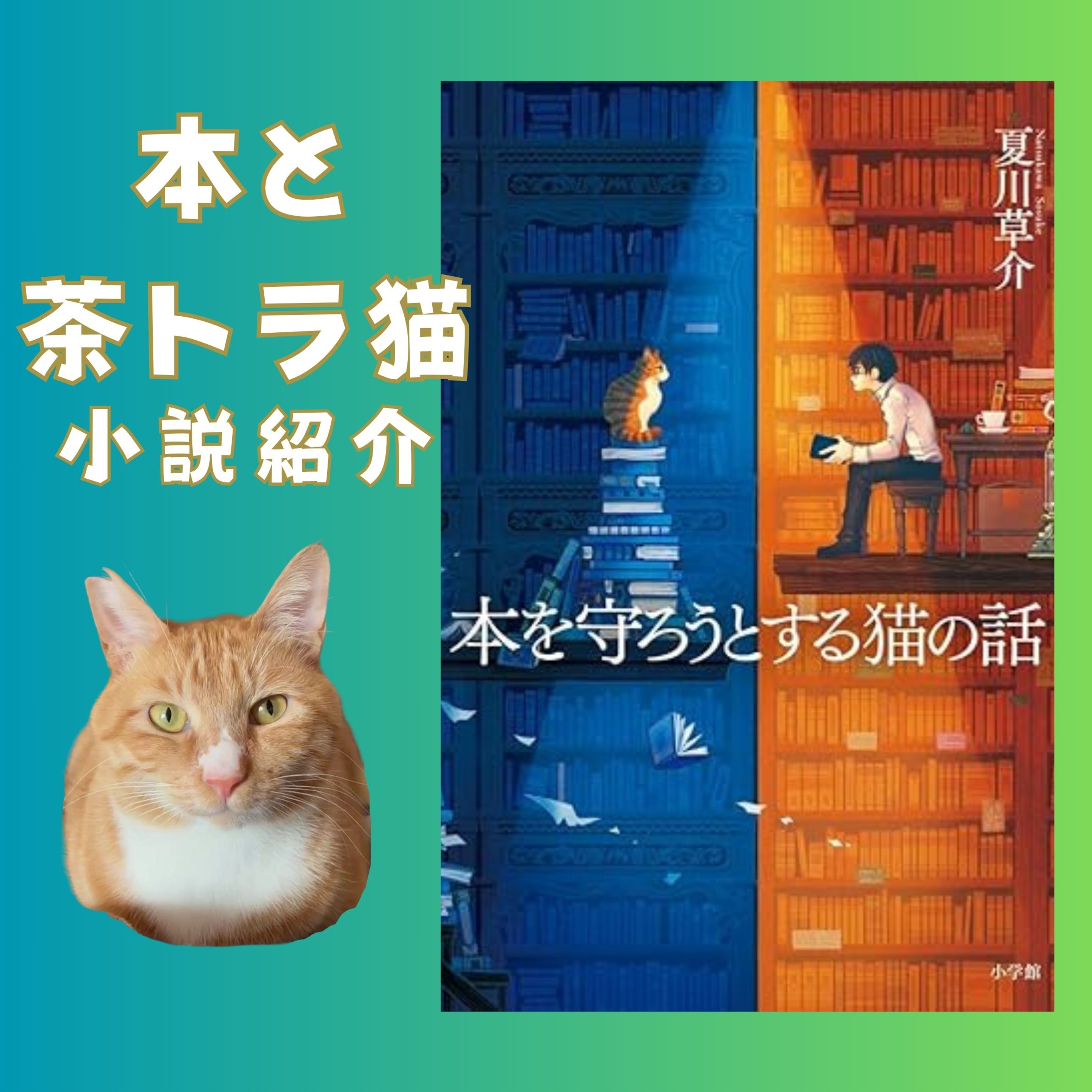 【小説#9】『本を守ろうとする猫の話』と、これからの本屋さんのかたち episode artwork
