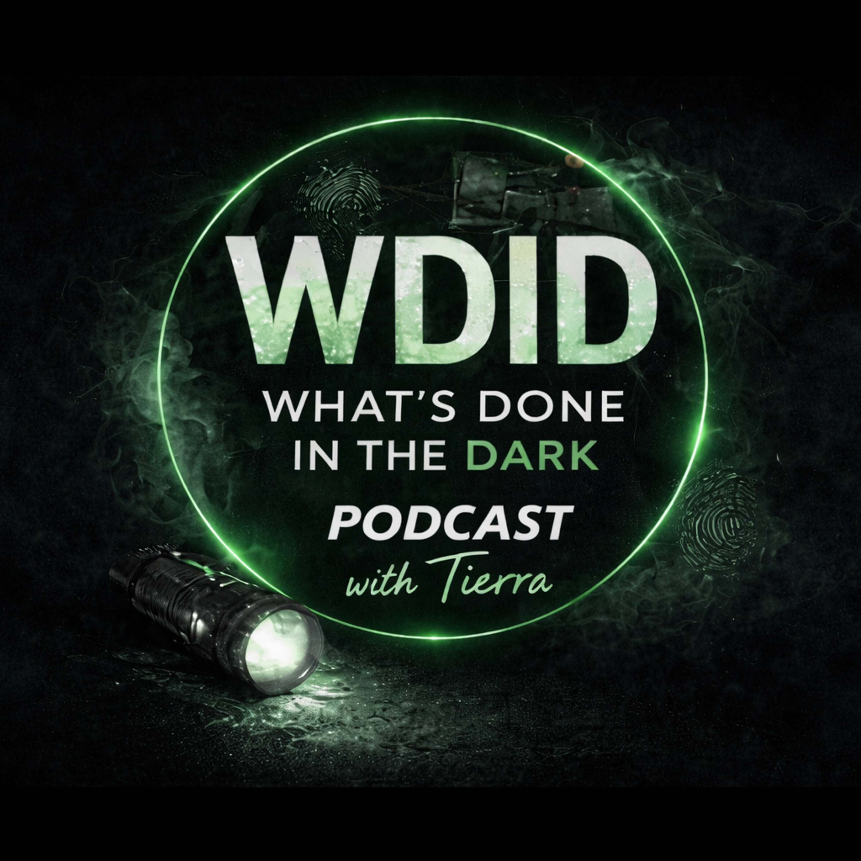 WDID Case Files #1 | Current Cases, Missing Persons & Unanswered Questions episode artwork