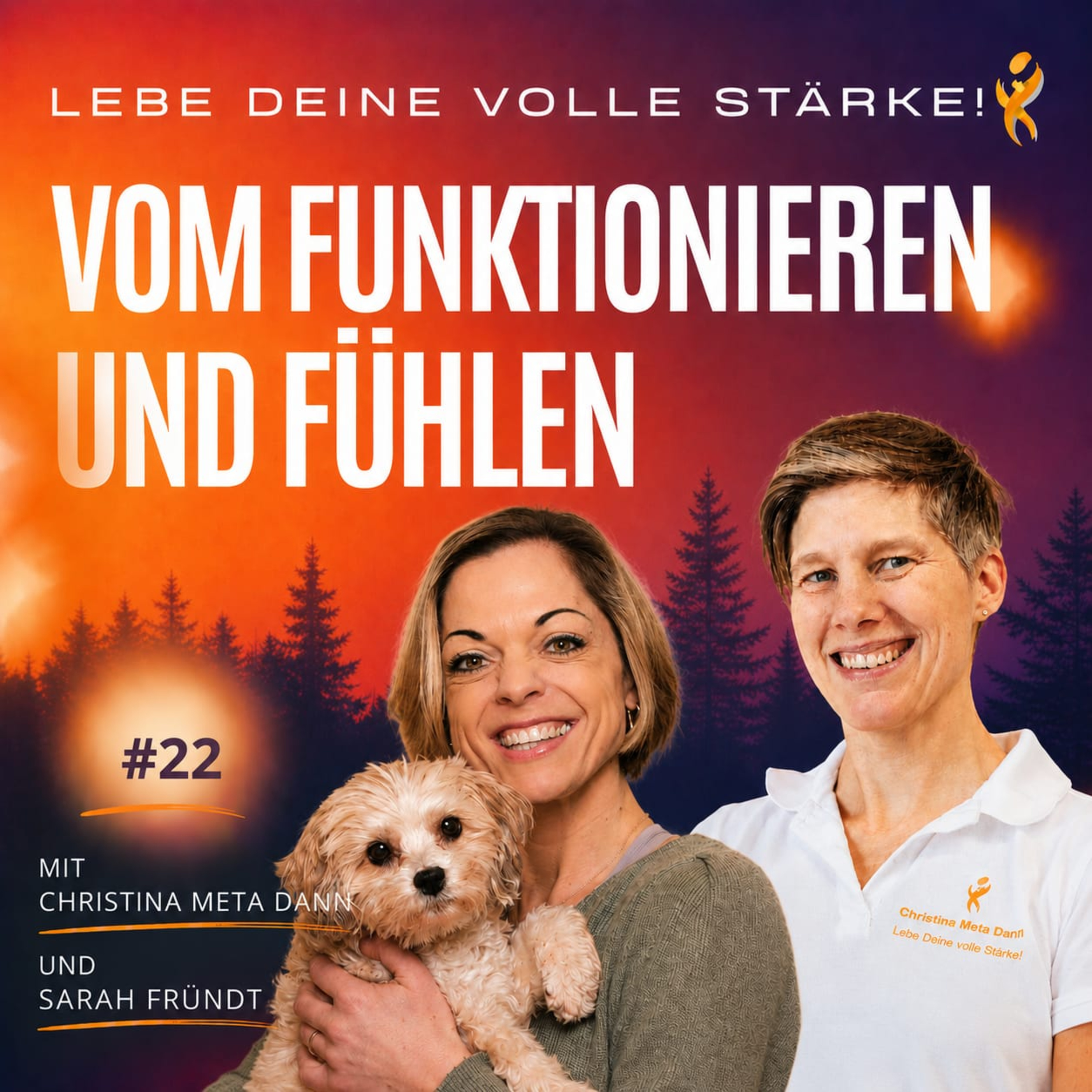 #22 Vom Funktionieren zum Fühlen - mit Sarah Fründt episode artwork