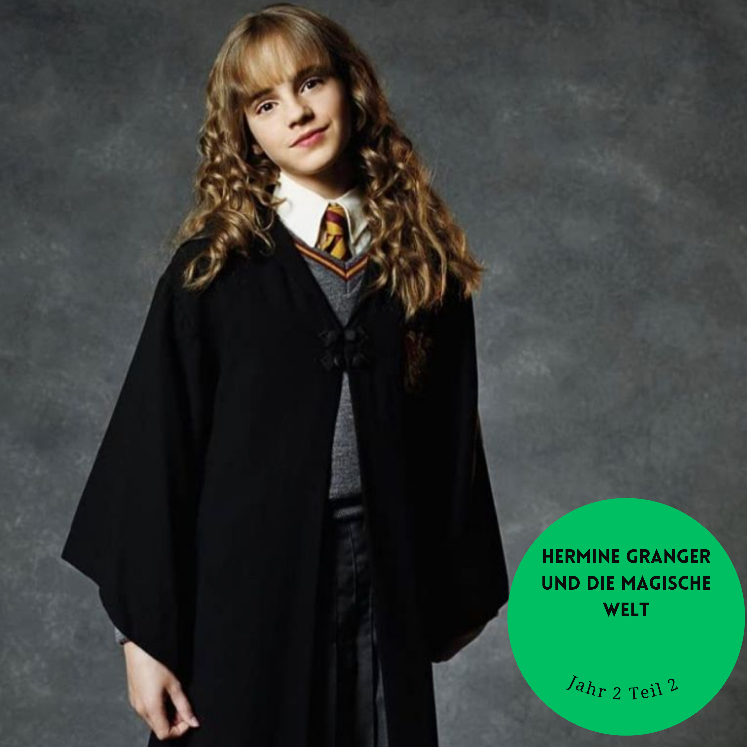 Hermine Granger und die Kammer des Schreckens✨ | Teil 2 | Harry Potter FanFiktion episode artwork