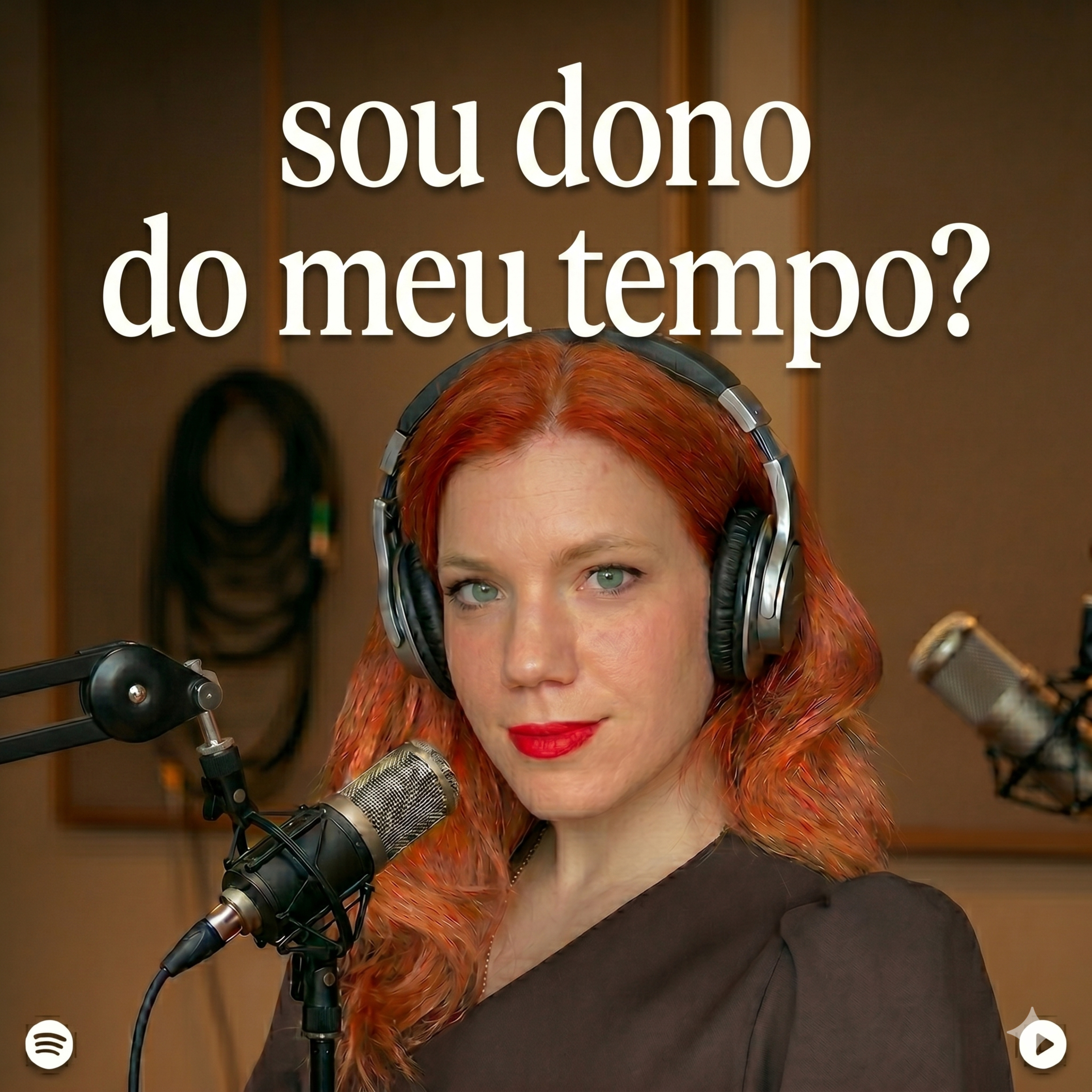 T2_#4 O ladrão do tempo! episode artwork