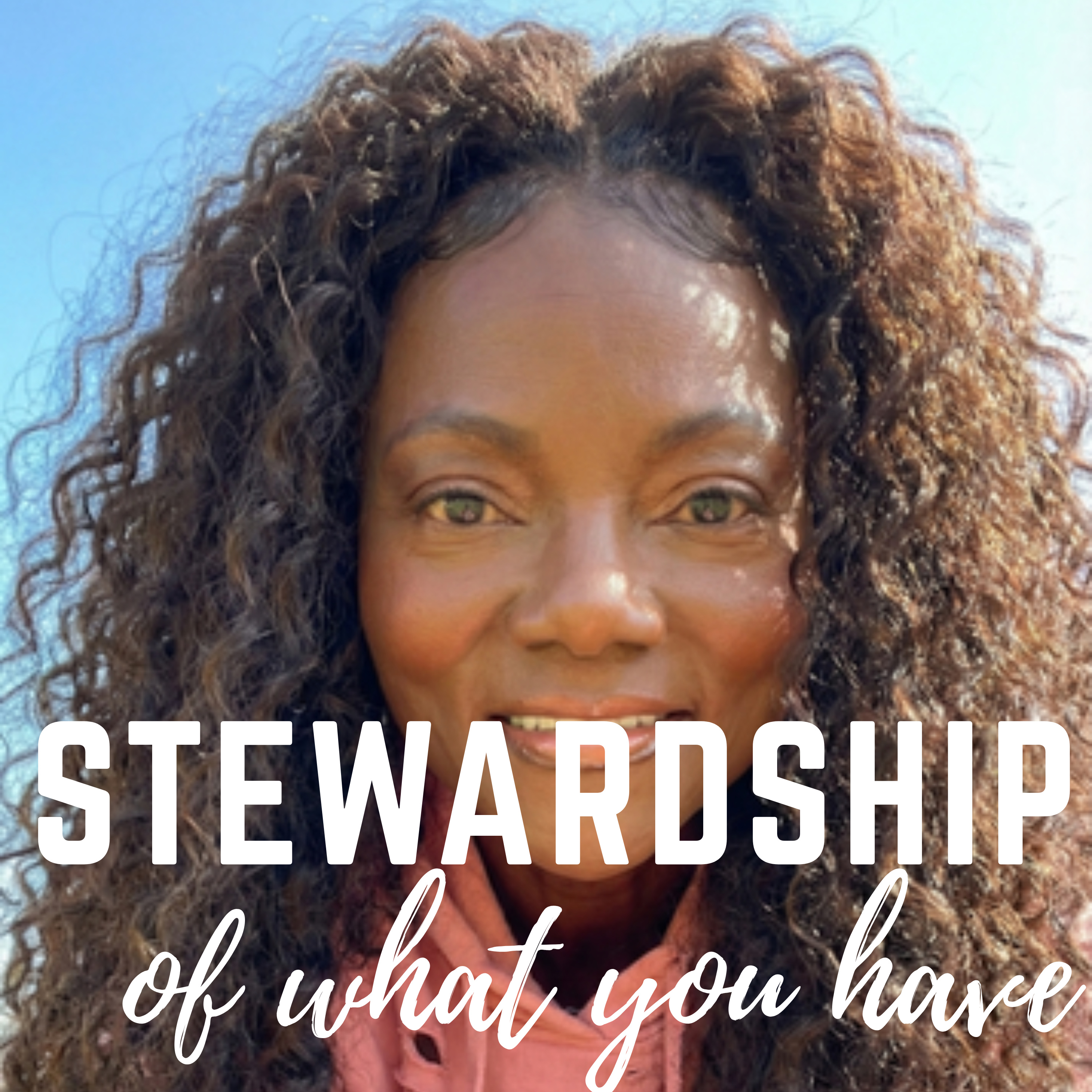 Stewardship of What You Have episode artwork