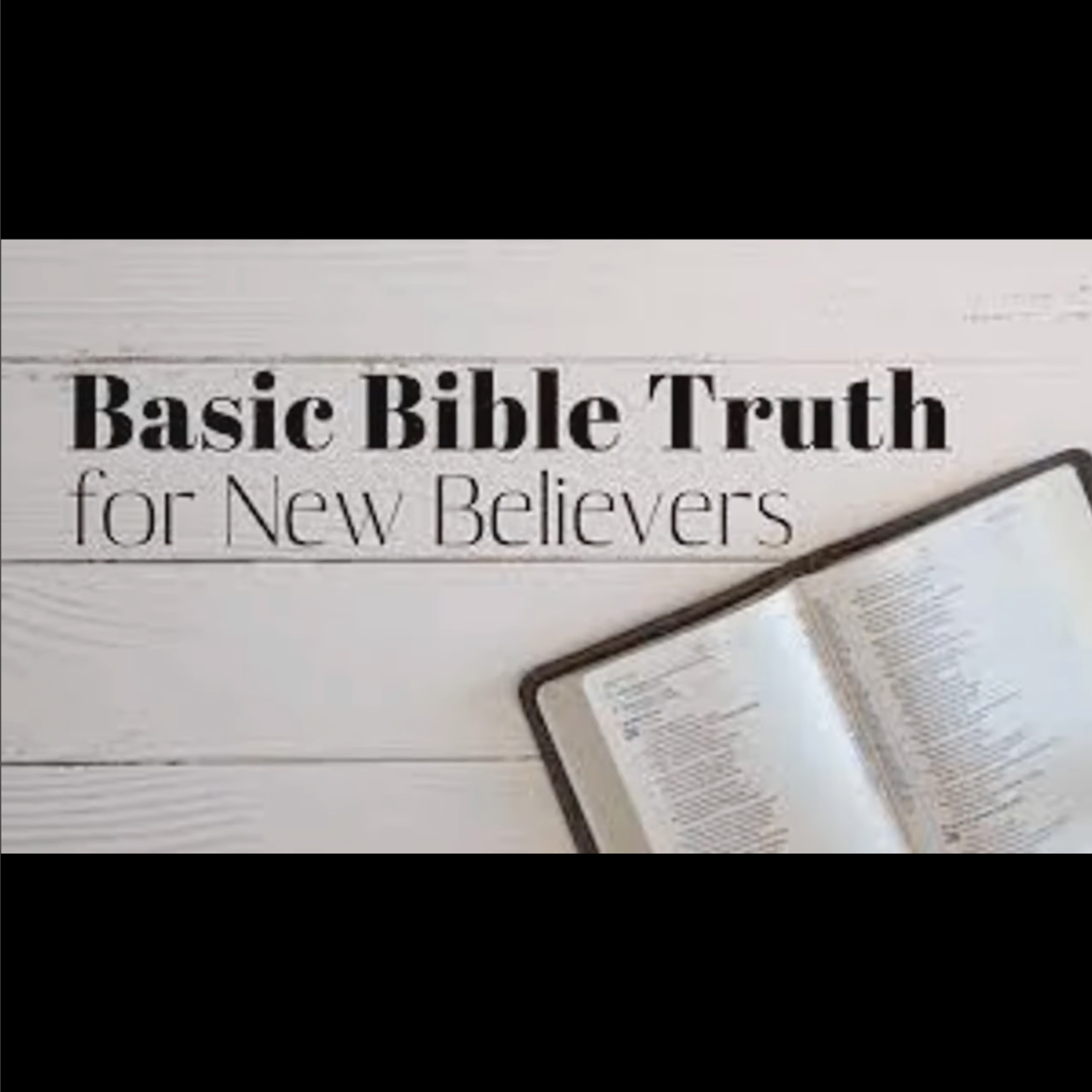 4 - Basic Bible Truth - The Bible - David O'Steen episode artwork