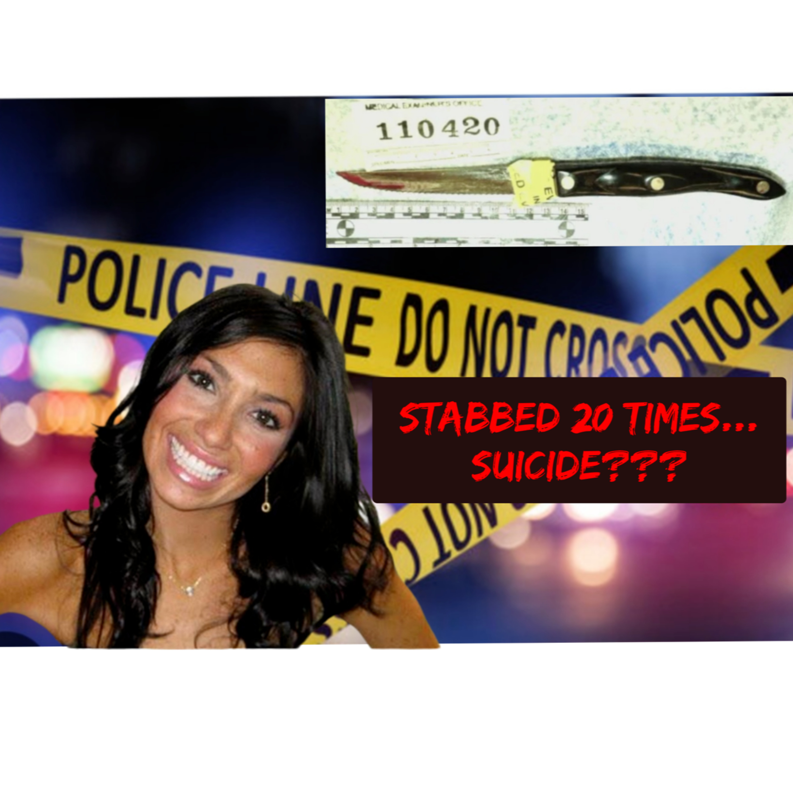 “A Scene That Didn’t Add Up: The Ellen Greenberg Mystery” episode artwork