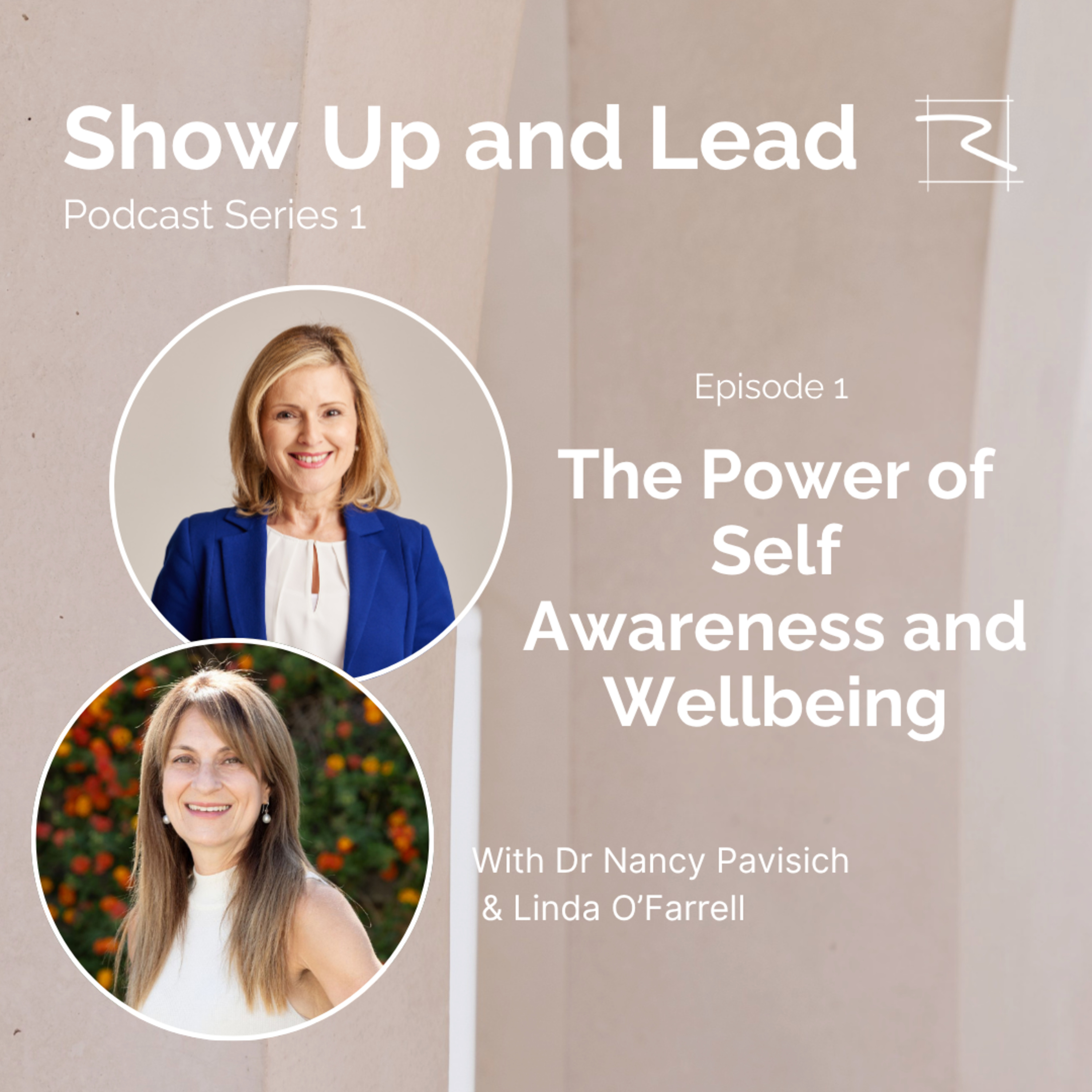 The Power of Self Awareness and Wellbeing episode artwork