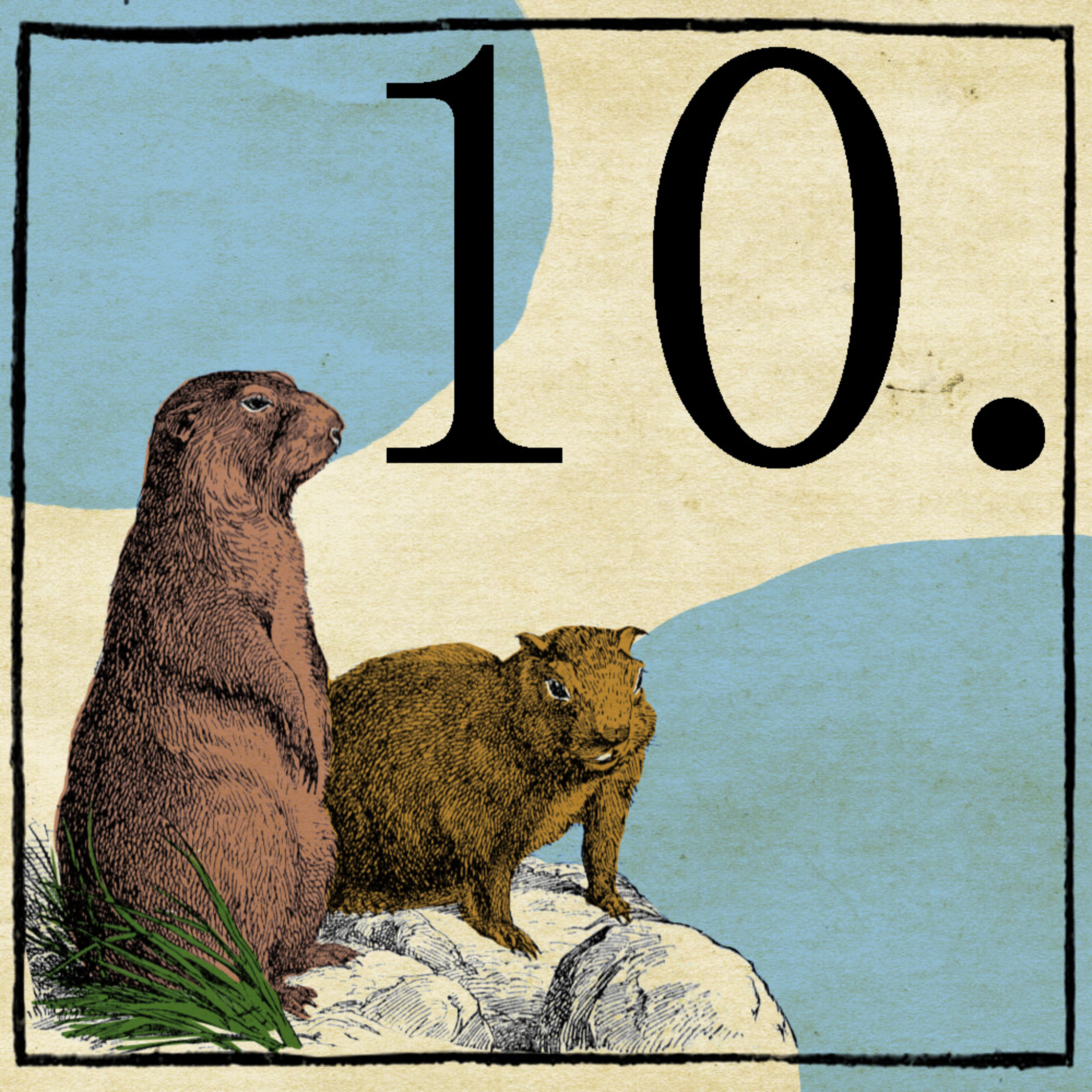 Rozdział 10 episode artwork