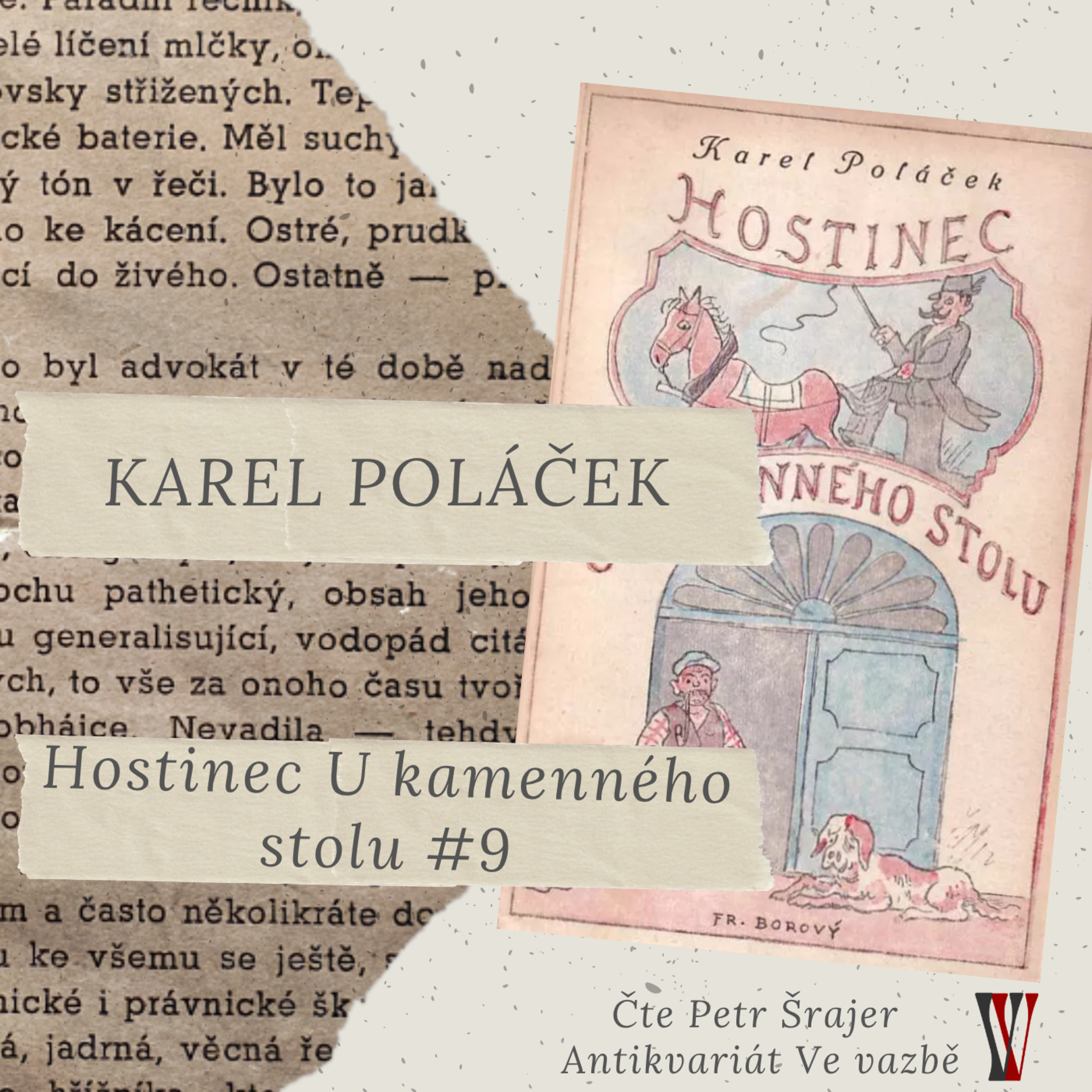 Ve vazbě