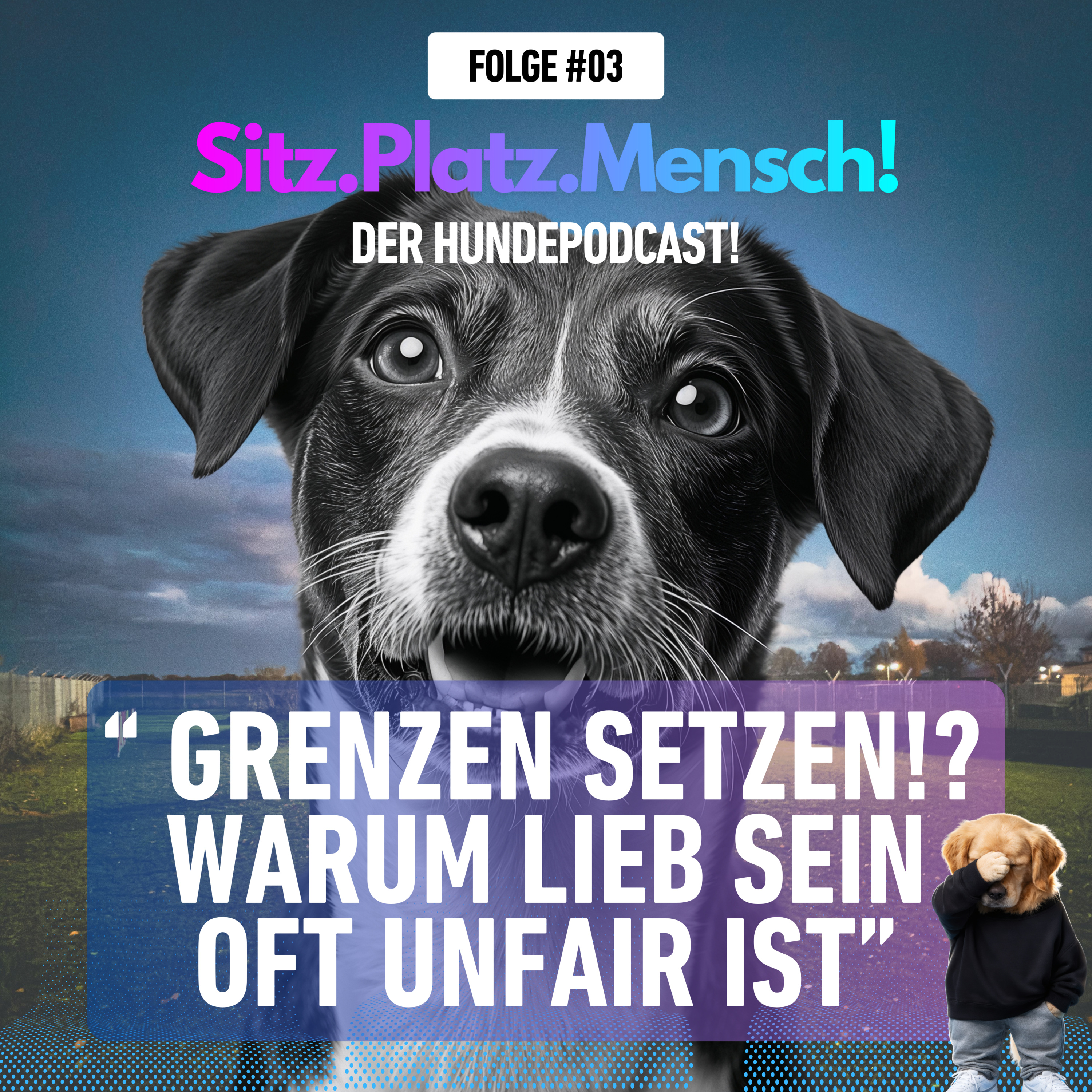 #3 Grenzen setzen!? Warum lieb sein oft unfair ist. episode artwork