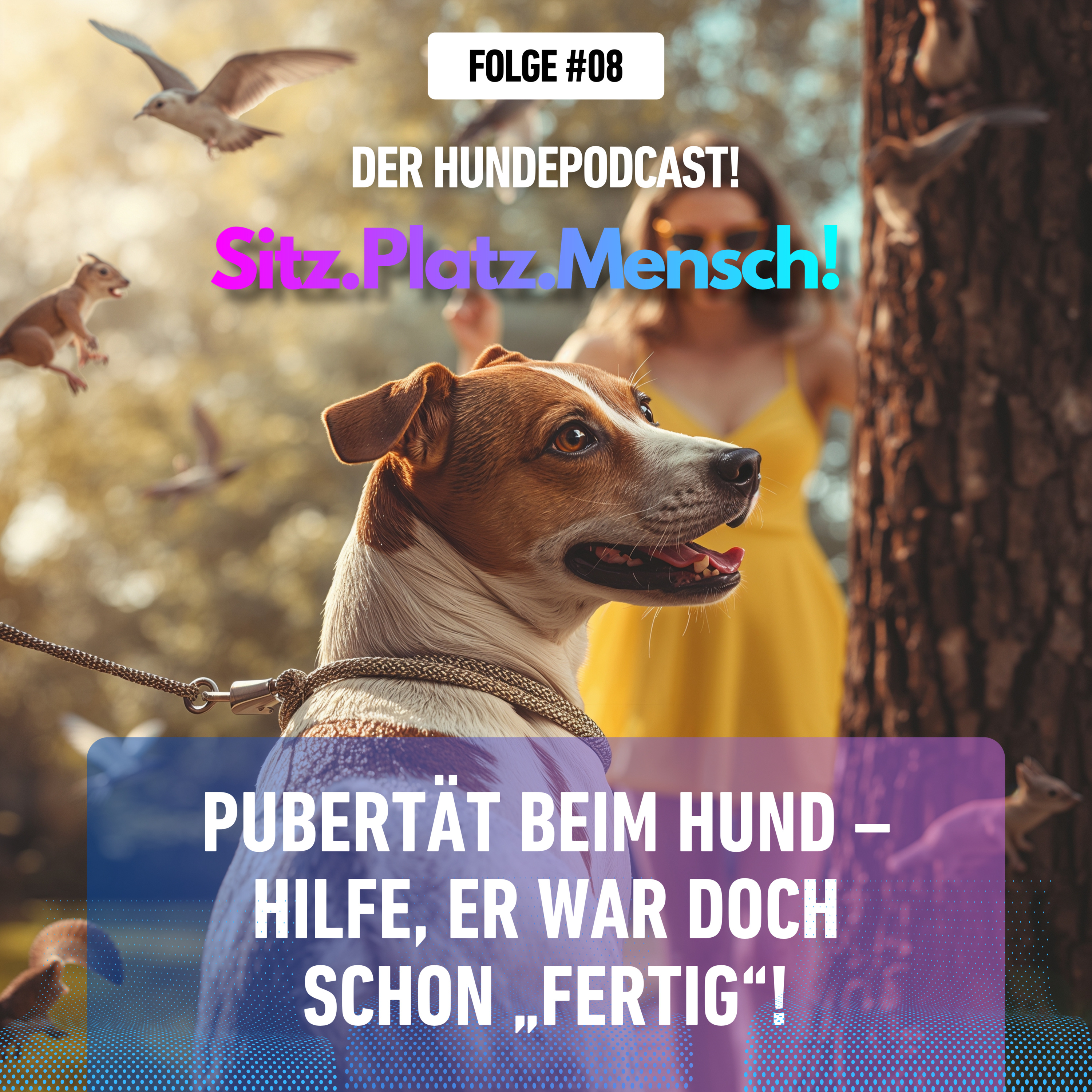#8 Pubertät beim Hund – Hilfe, er war doch schon „fertig“! episode artwork