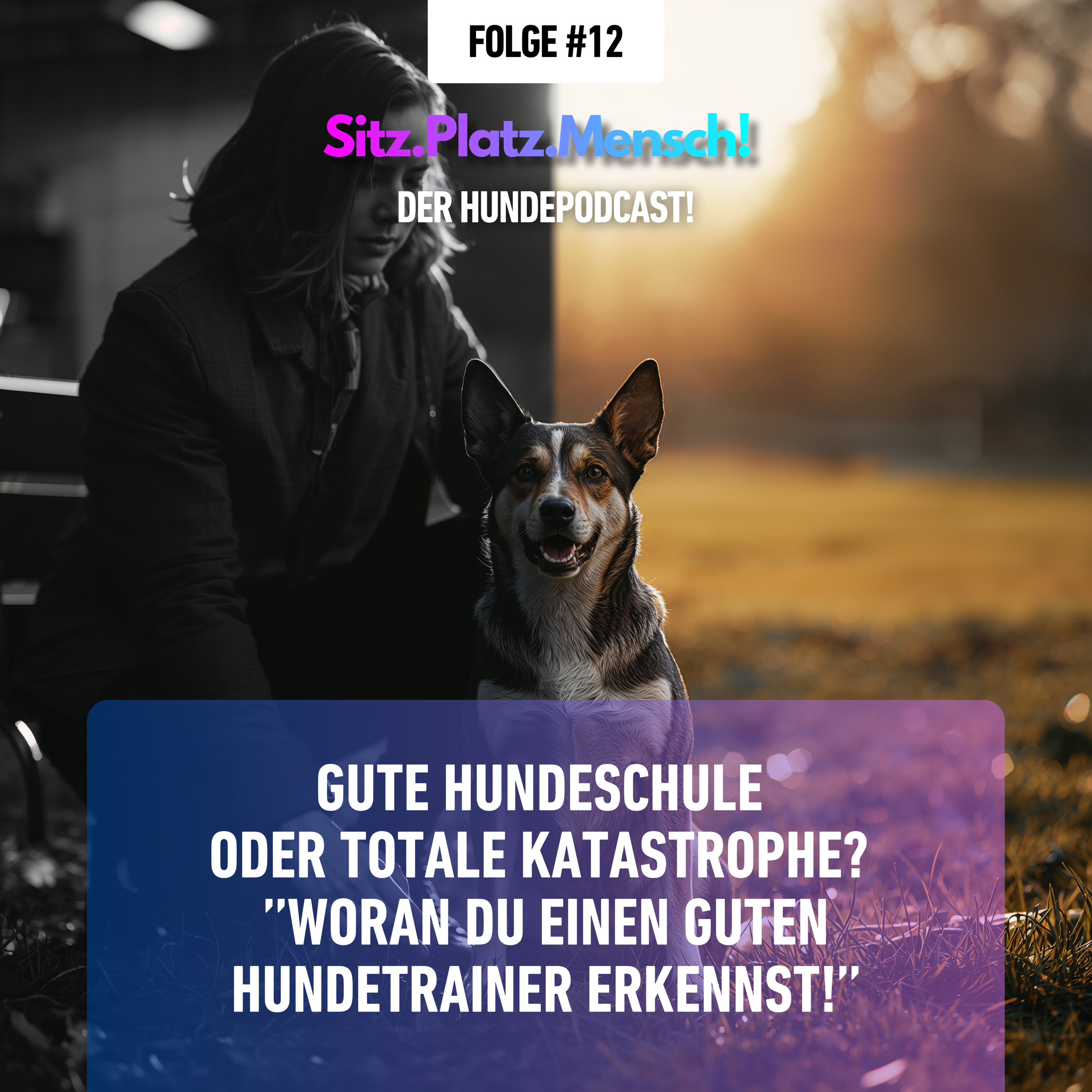 #12 Gute Hundeschule oder totale Katastrophe? - Woran du einen guten Hundetrainer erkennst! episode artwork