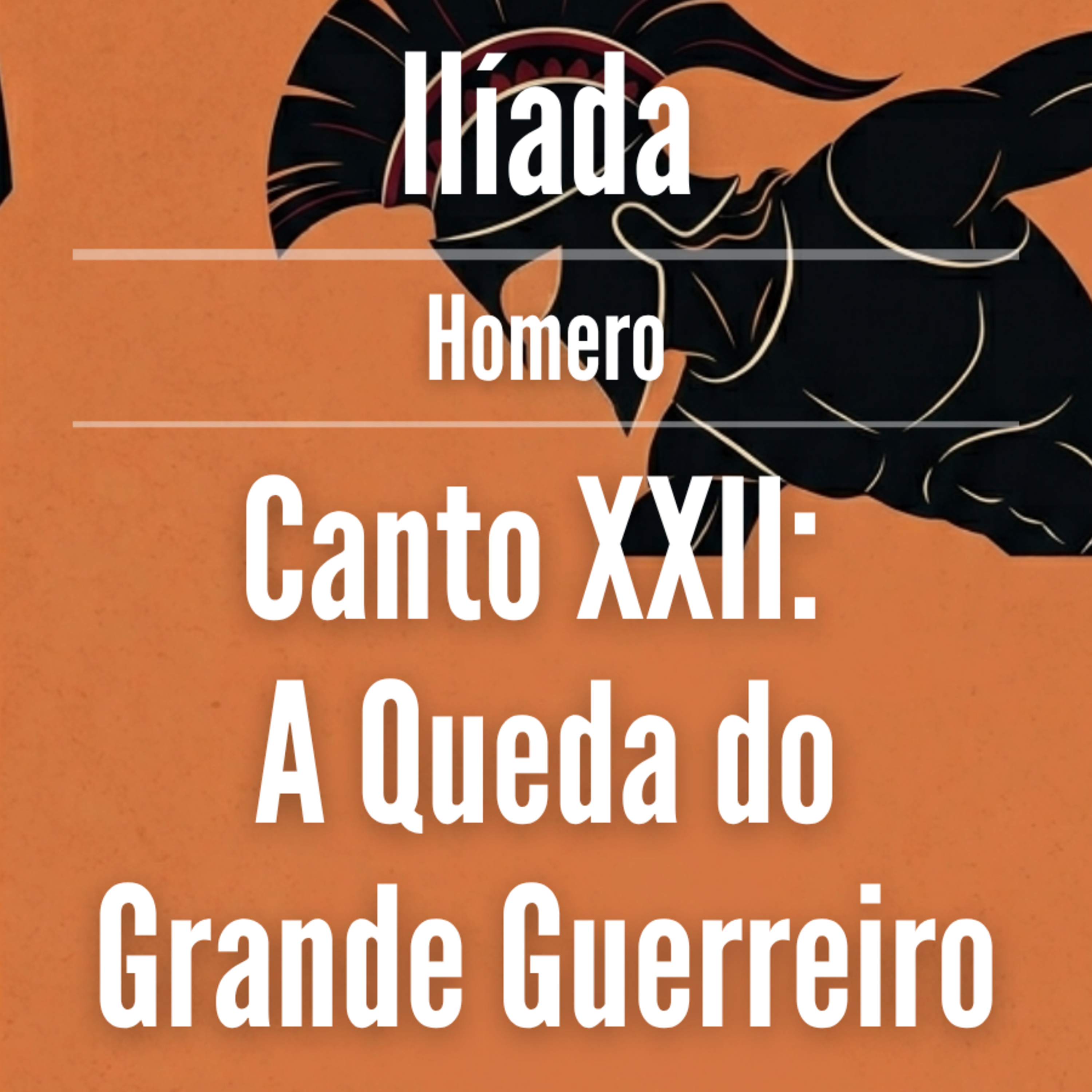 Ilíada: O inevitável embate e o fim do herói - Canto 22 episode artwork