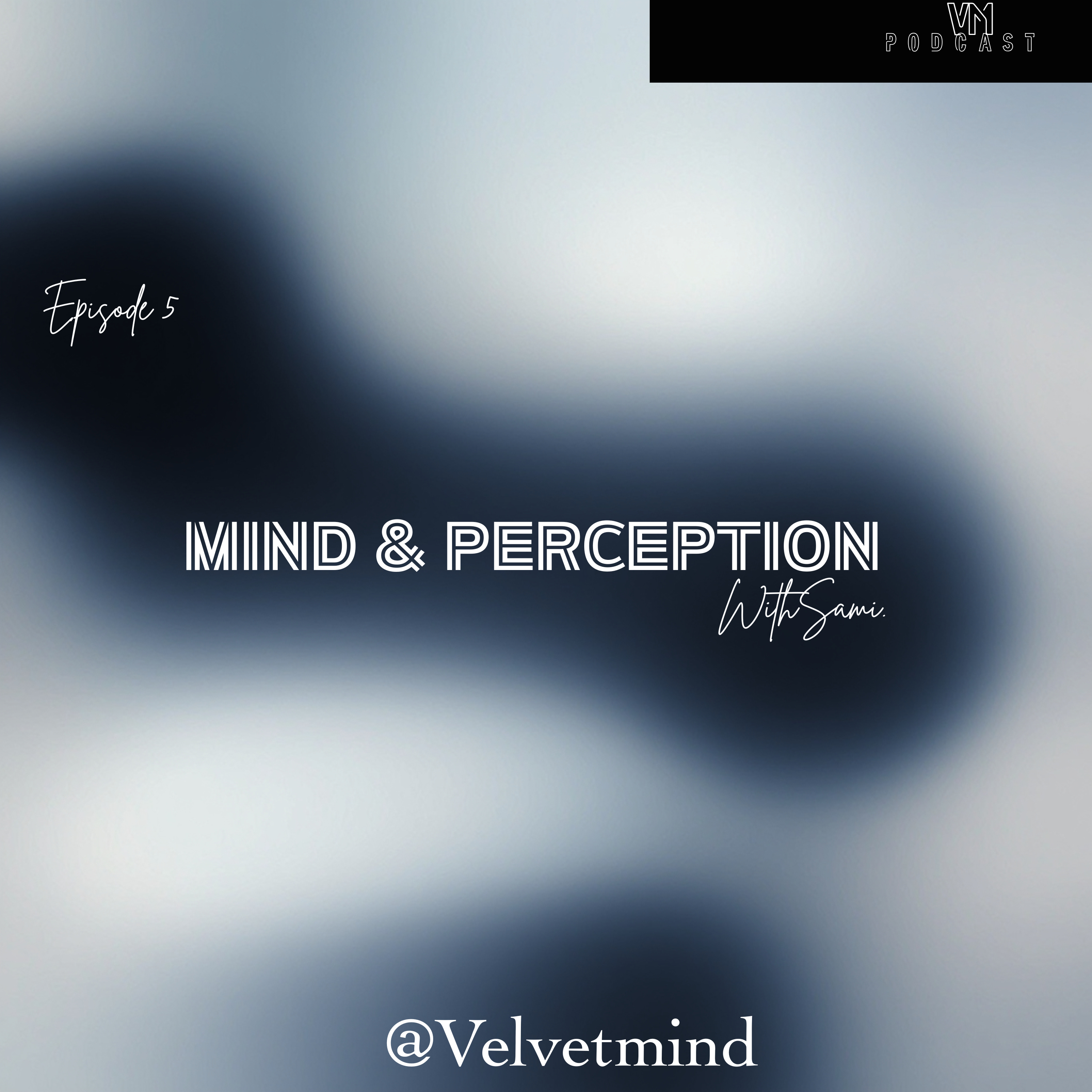 Mind & Perception episode artwork