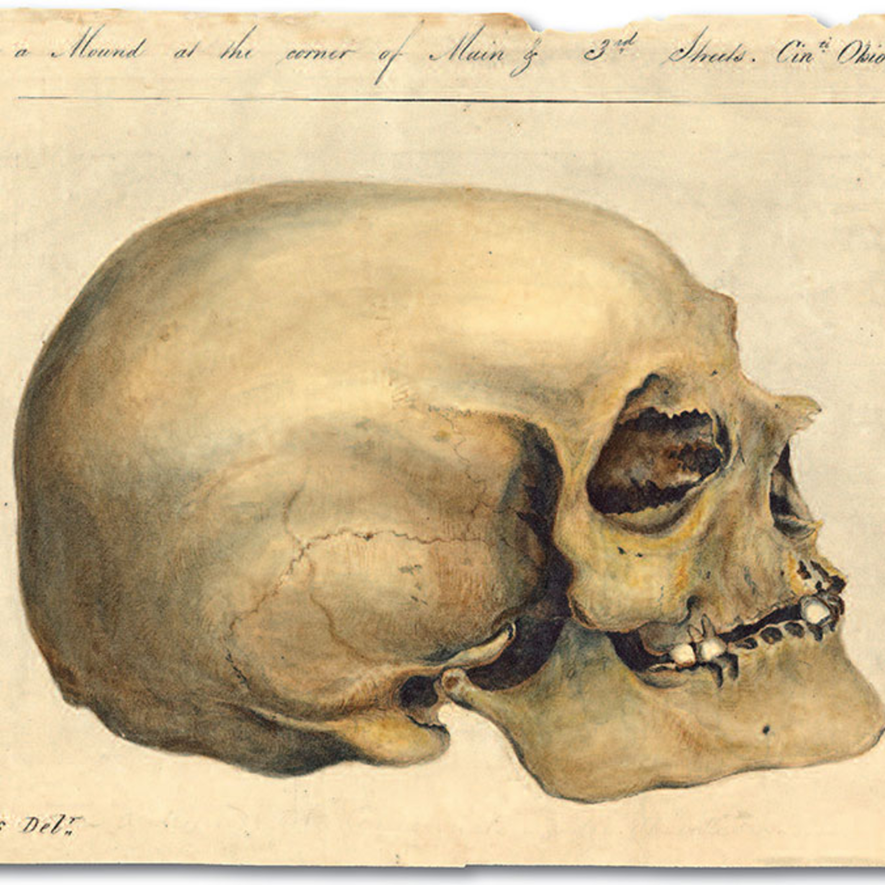 HIST 229 UWM - Nelson