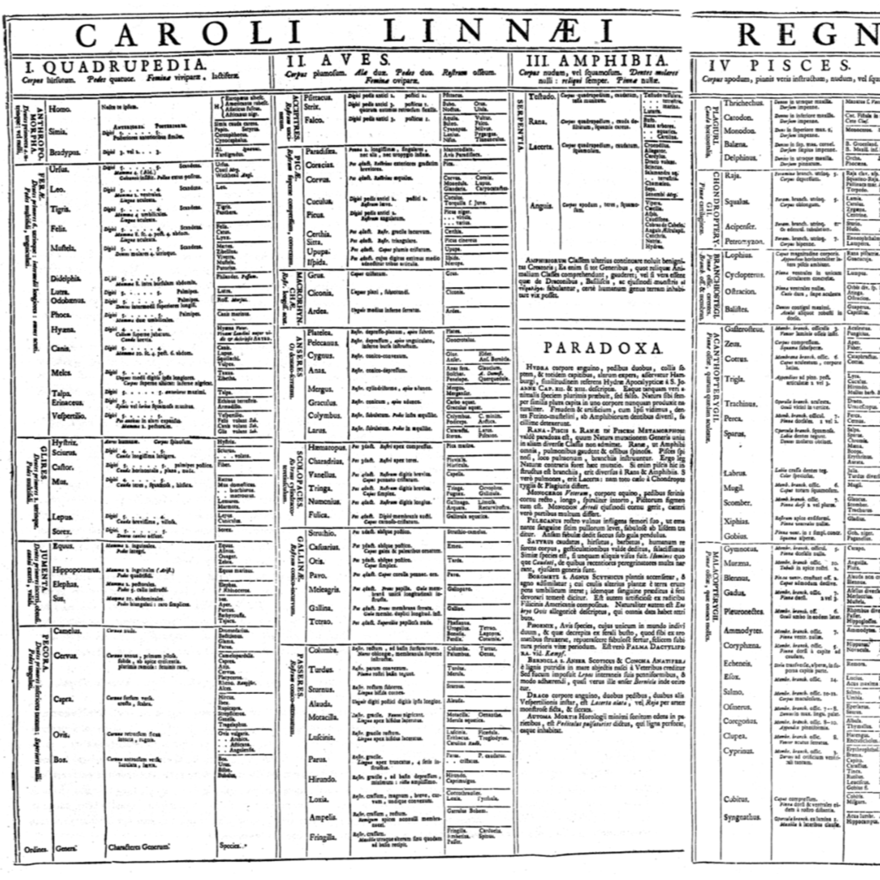 HIST 229 UWM - Nelson