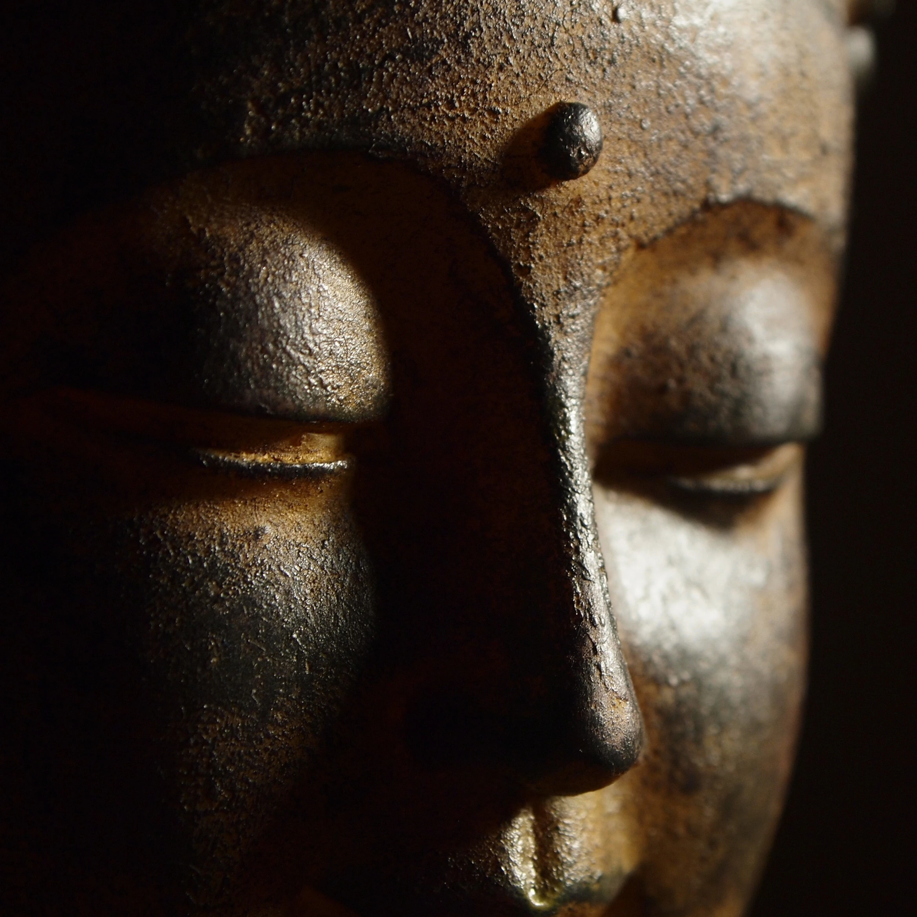 Knowing The Buddha by His Words episode artwork