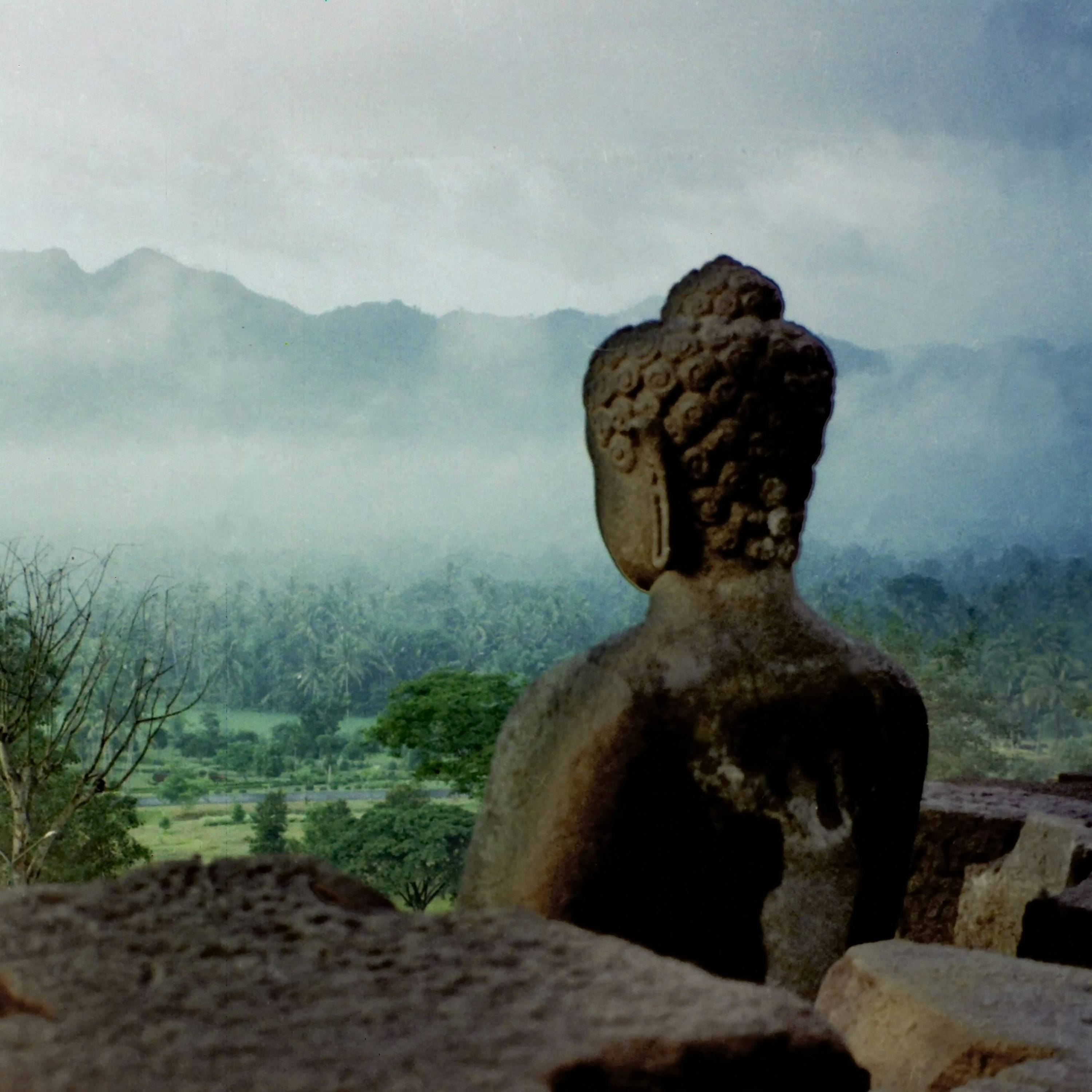 The Buddha addressed Venerable Ānanda episode artwork