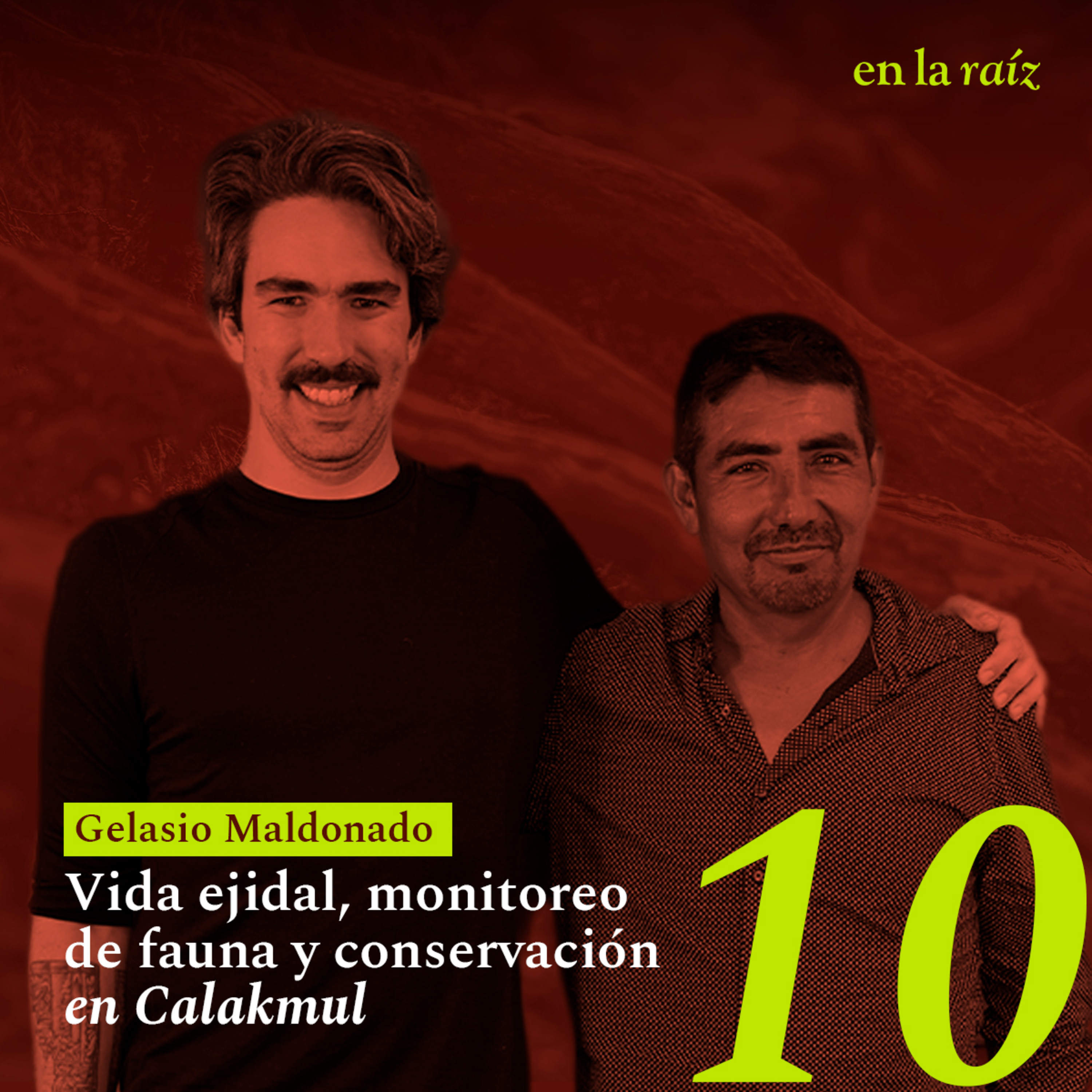 Portada de En La Raíz Podcast