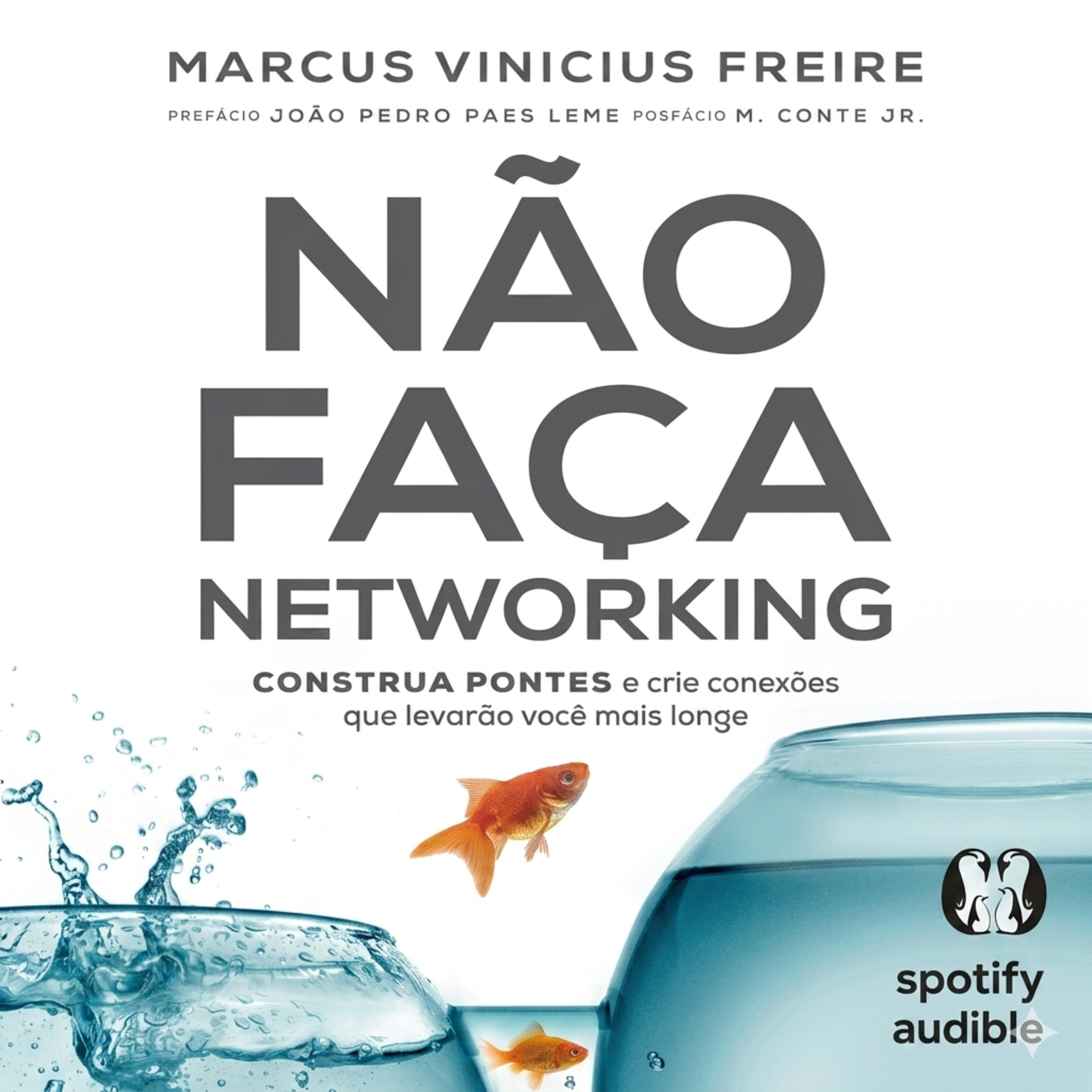 Não Faça Networking  episode artwork