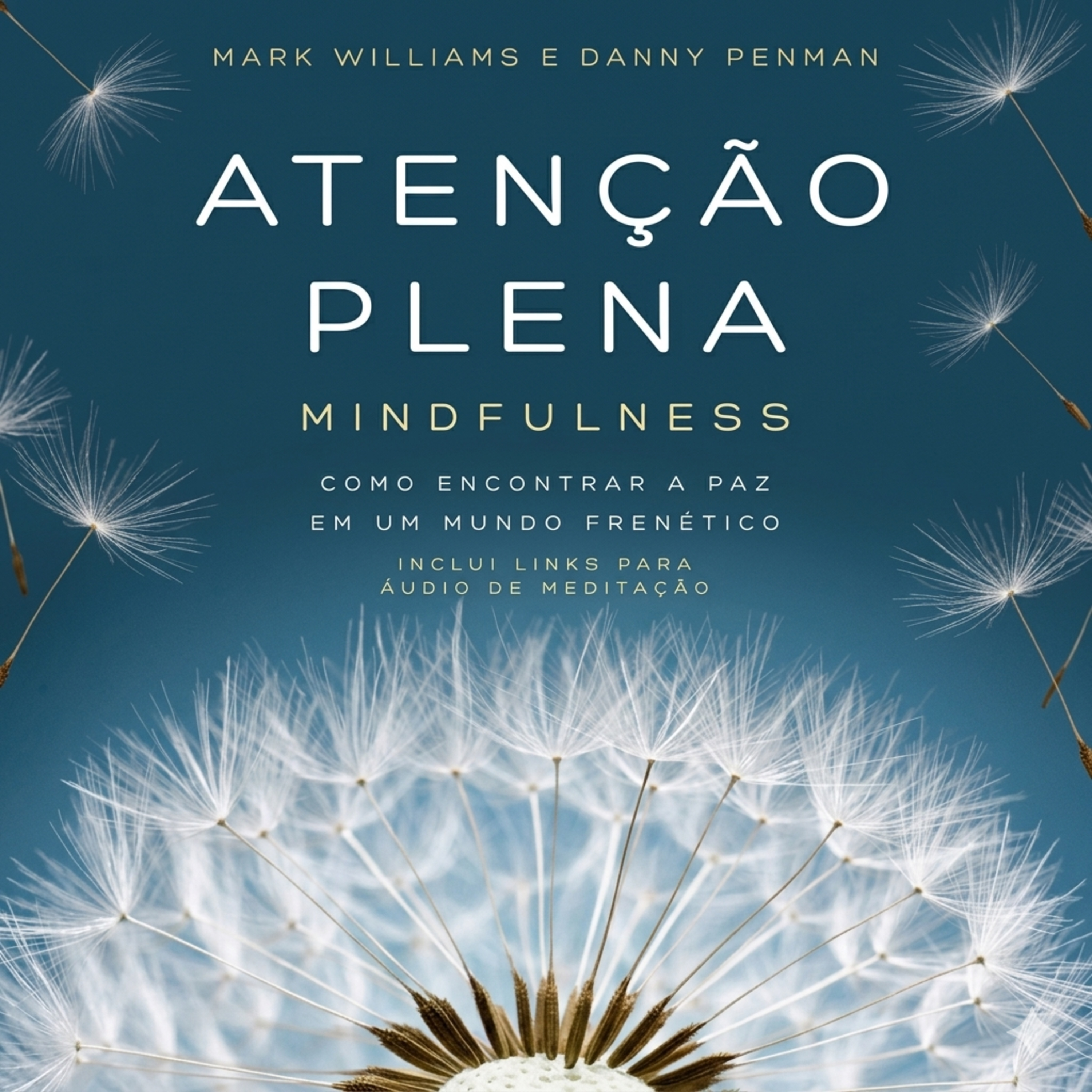 Atenção Plena episode artwork