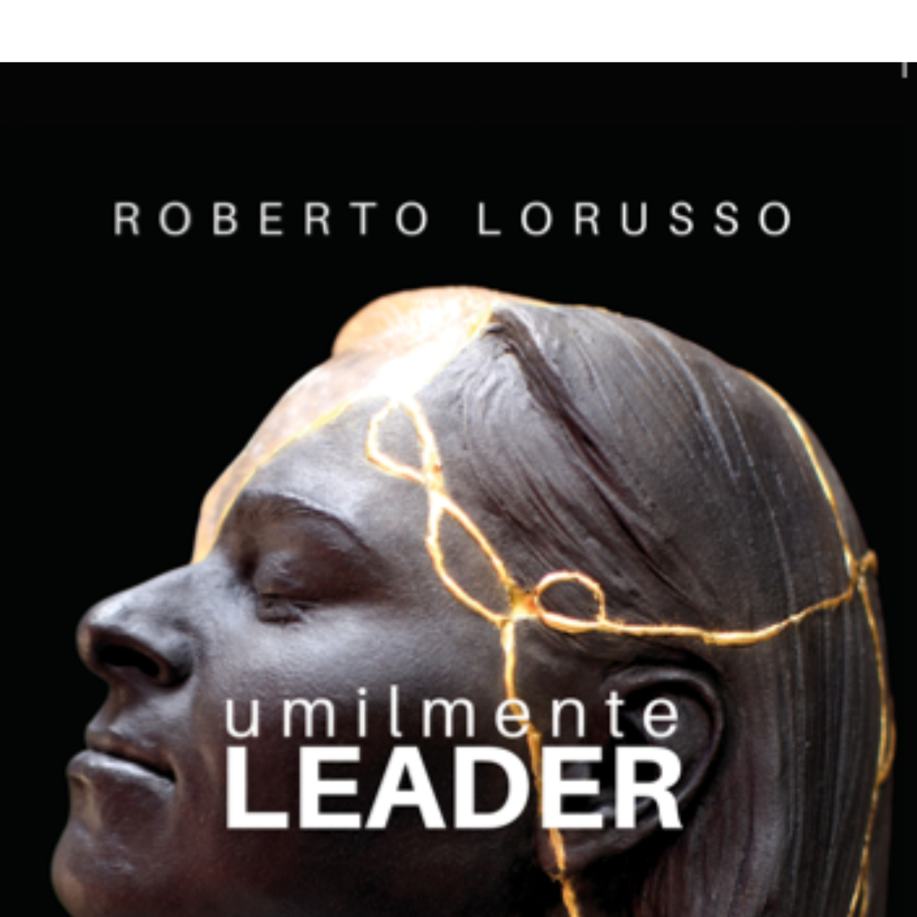 Dialoghi sul Management - I libri di Roberto Lorusso raccontati dall\'AI
