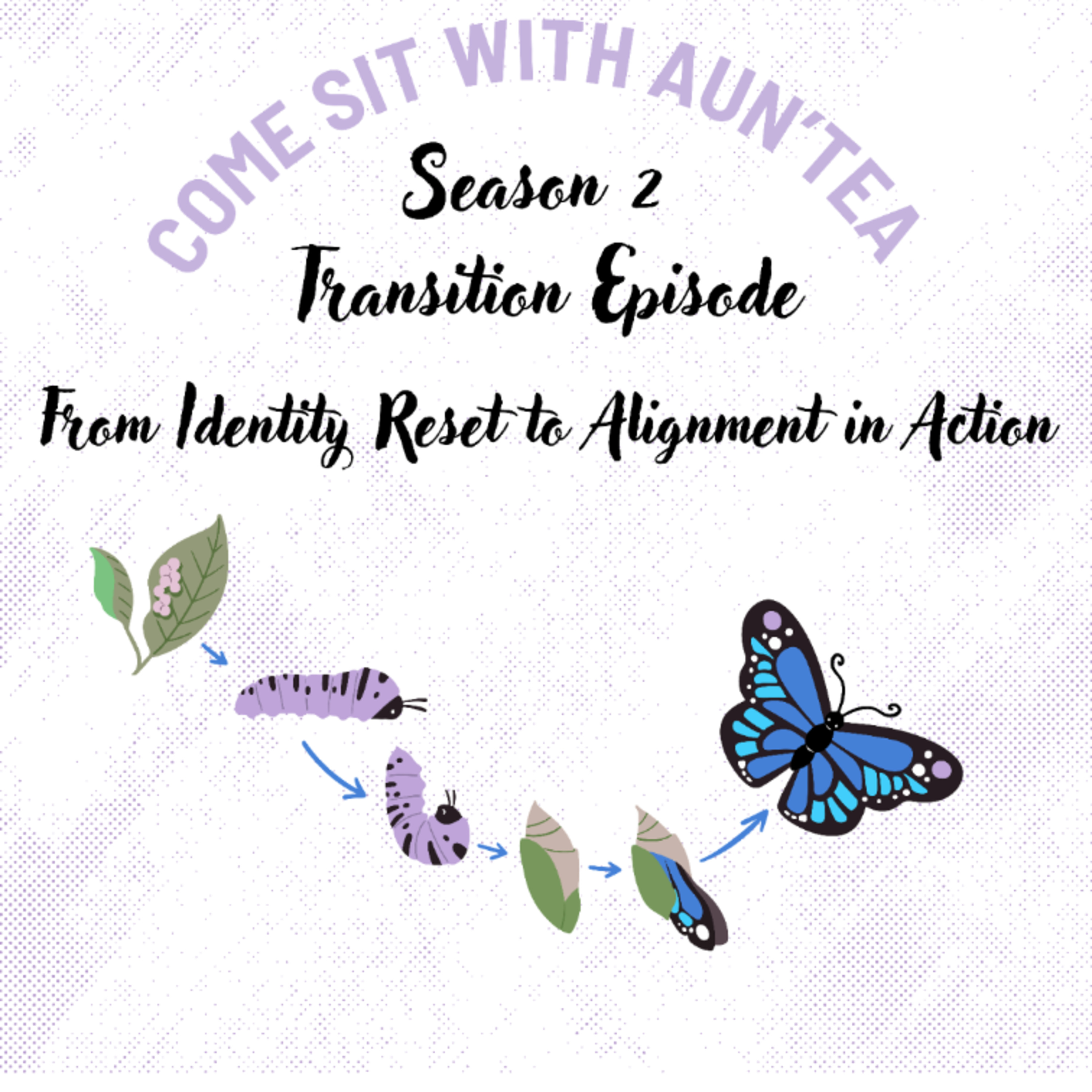 Transition Episode: From Identity Reset to Alignment in Action episode artwork