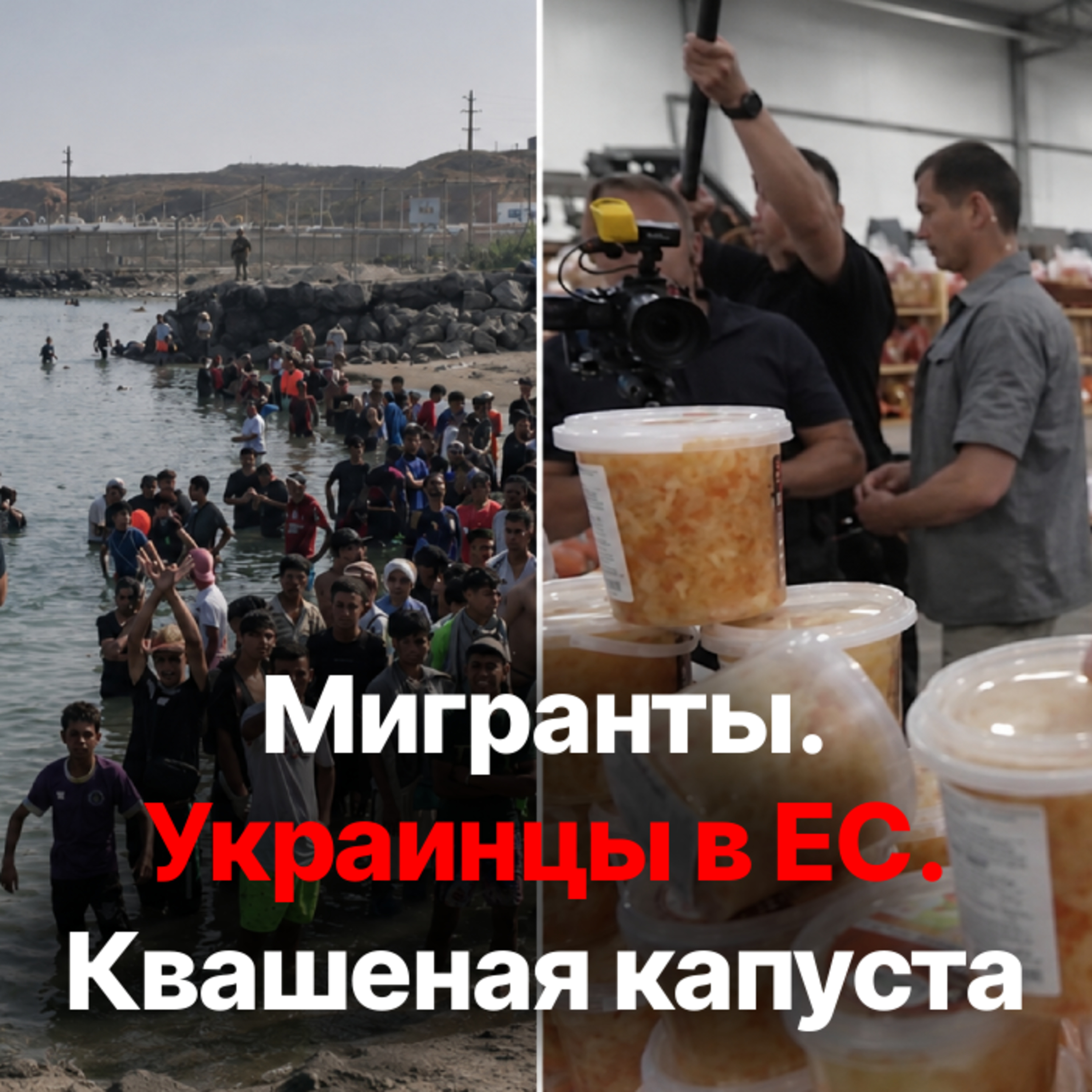 Мигранты. Украинцы в ЕС. Квашеная капуста. Стрим с Александром Фридманом episode artwork