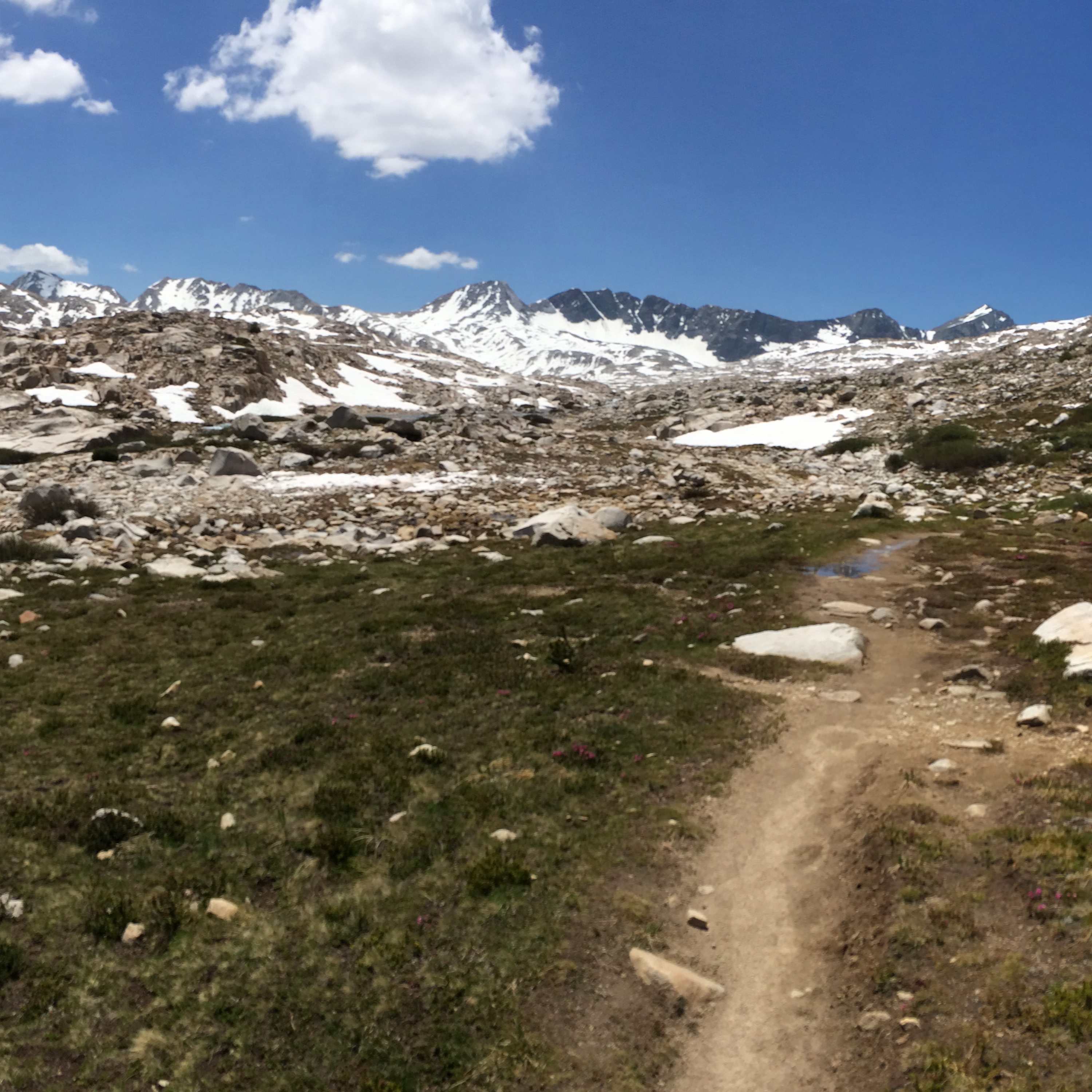The Wildernesses We Choose: Knowingly or Unknowingly