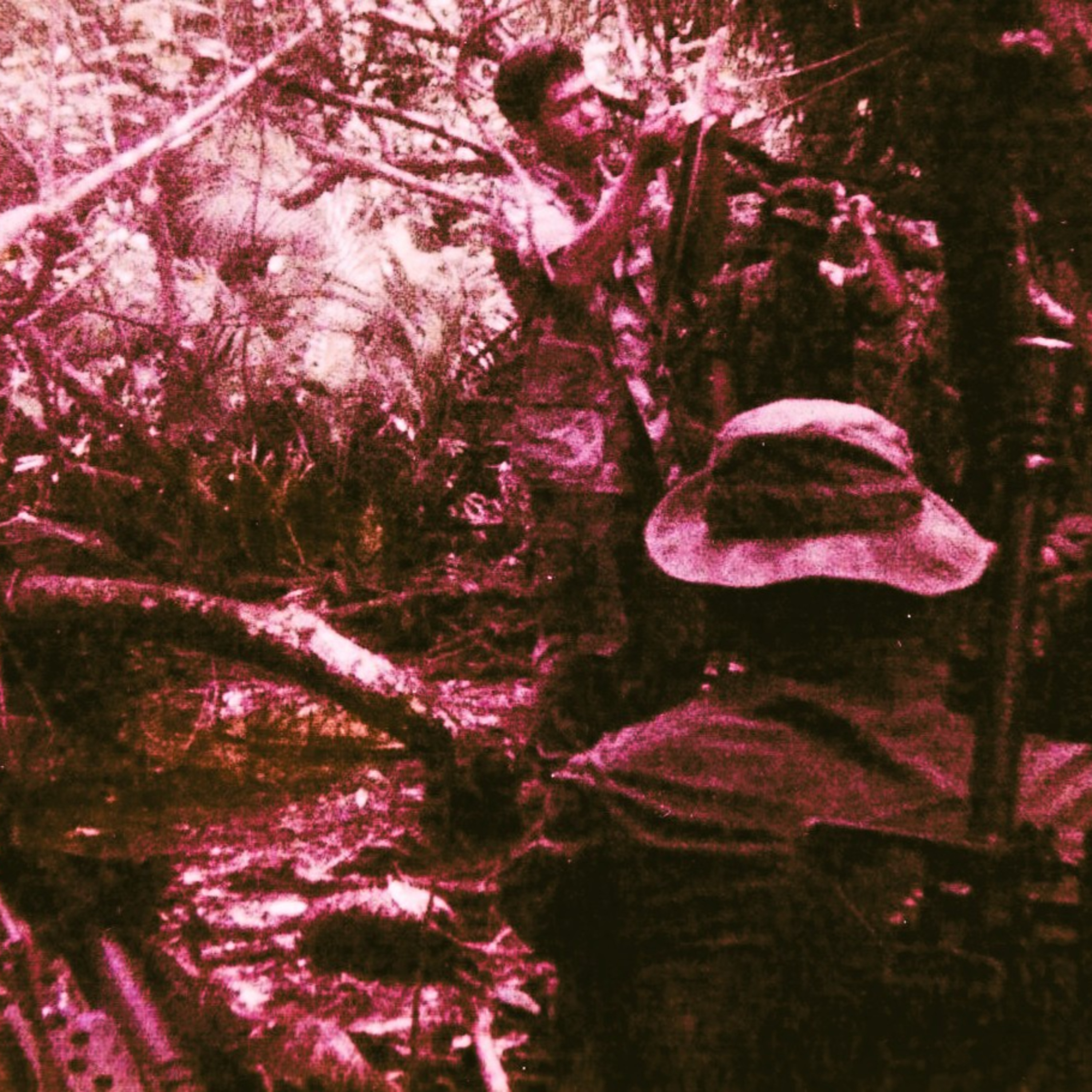Navigating Liquid Modernity: Lessons from the Jungle episode artwork