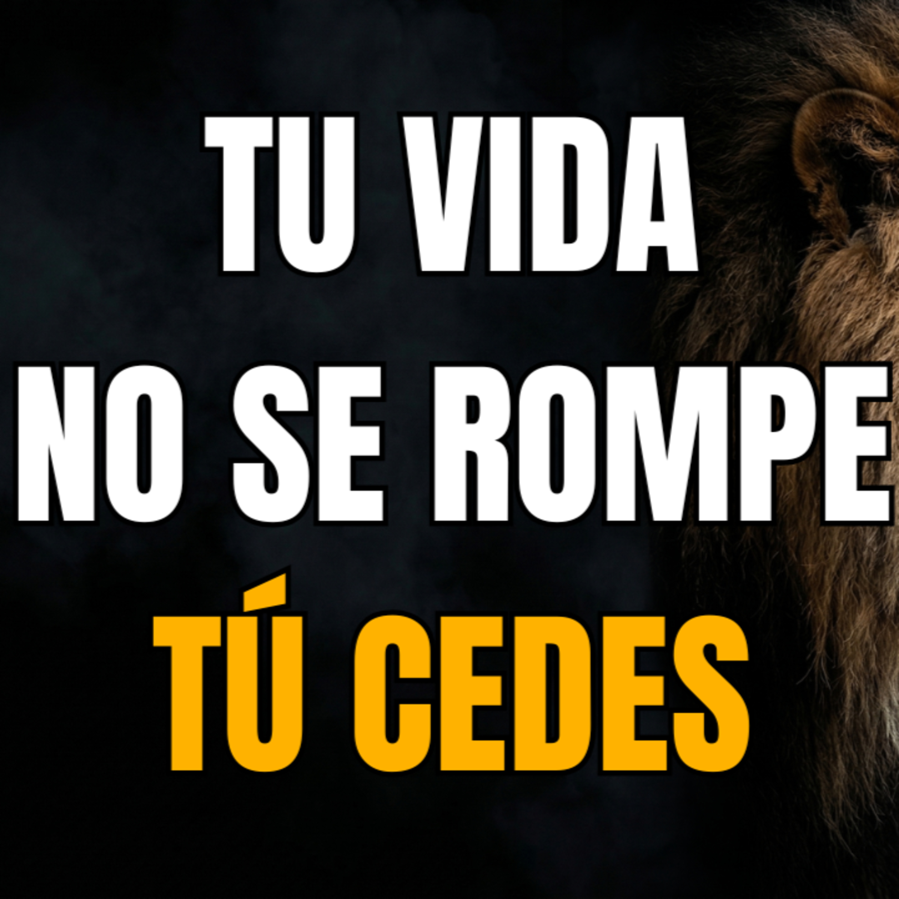 SI SIENTES QUE TU VIDA SE ESTÁ DESMORONANDO, ESCUCHA ESTO Y RECUPERA TU PODER | 7 Lecciones estoicas