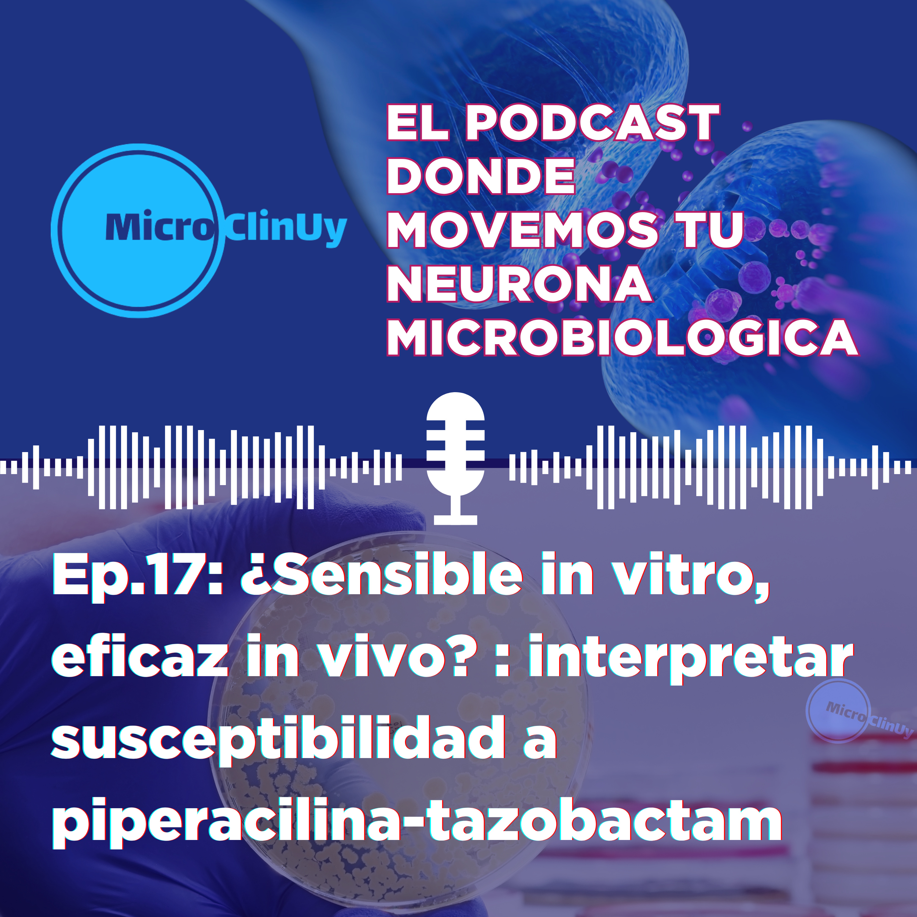 Ep.17: ¿Sensible in vitro, eficaz in vivo? : interpretar susceptibilidad a piperacilina-tazobactam episode artwork