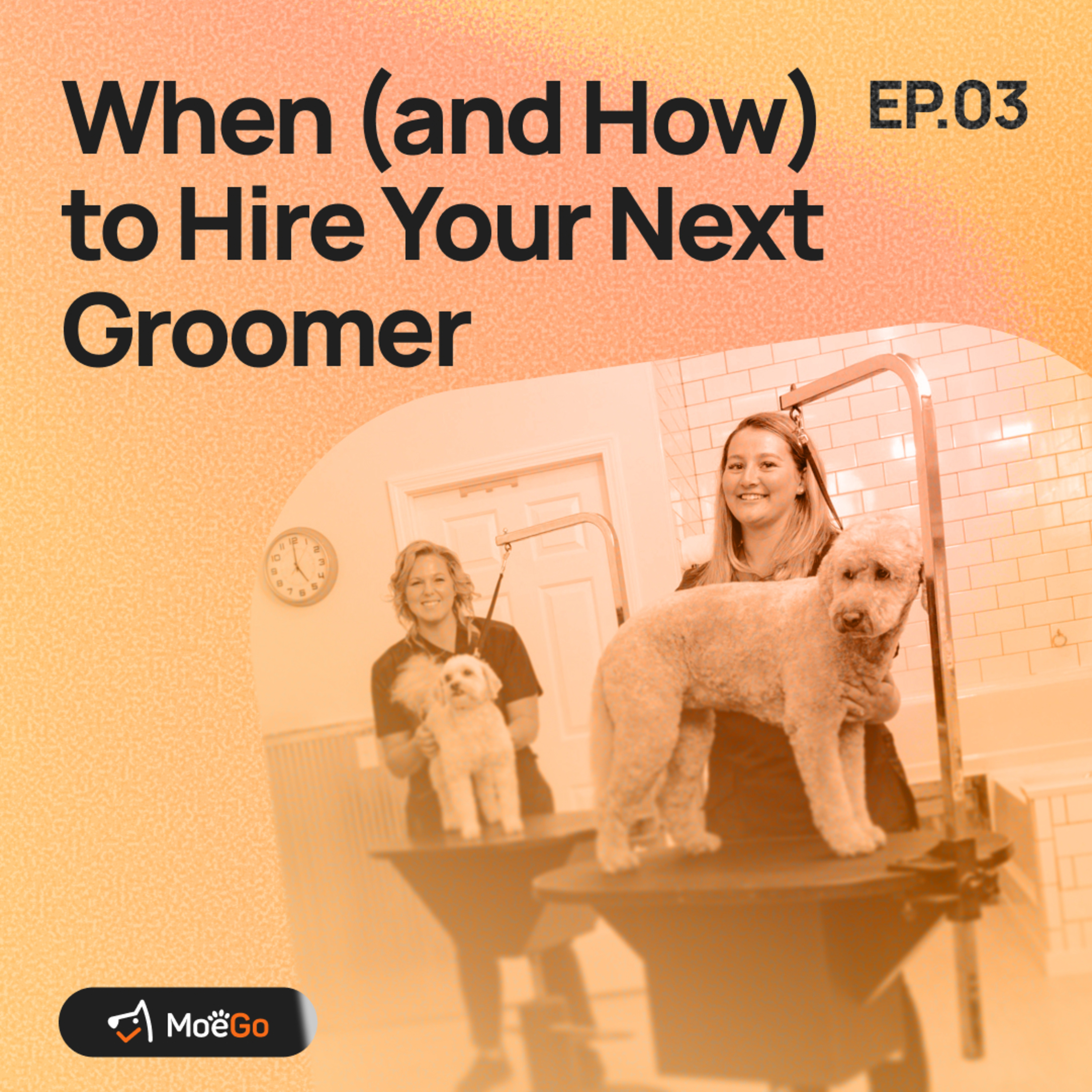 When (and How) to Hire Your Next Groomer for Your Salon episode artwork