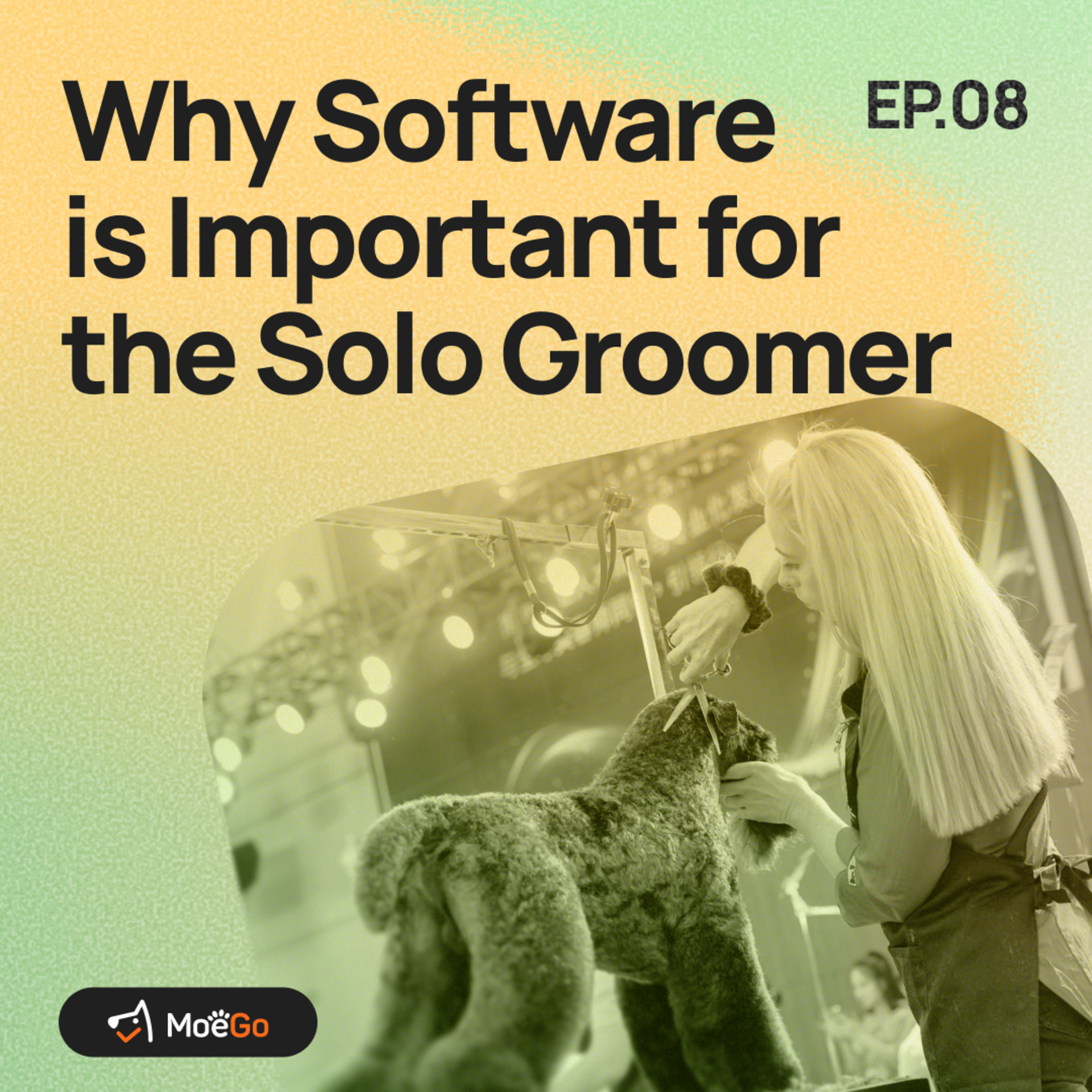 Why Software is Important for the Solo Groomer episode artwork