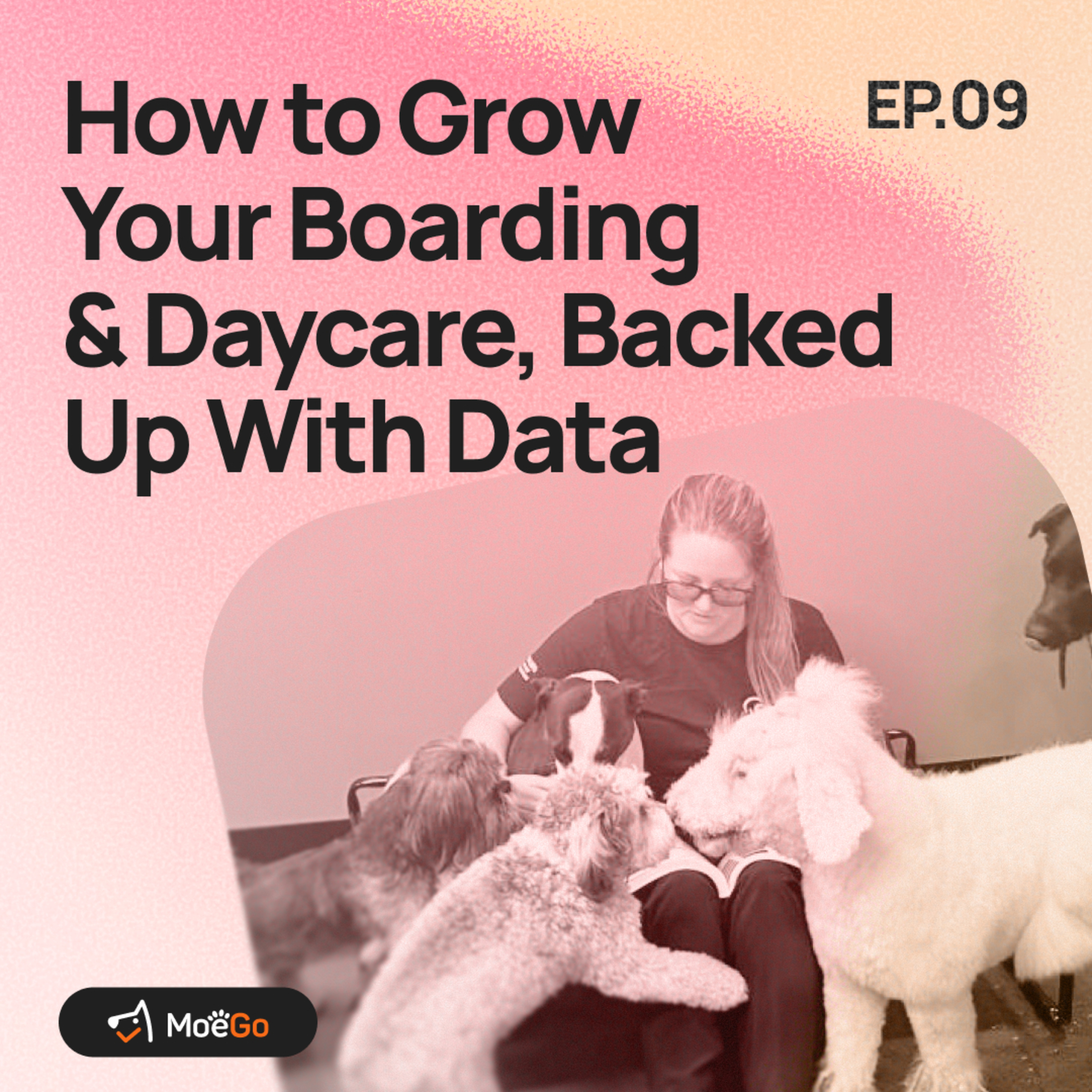 How to Grow your Boarding and Daycare, Backed up with Data  episode artwork