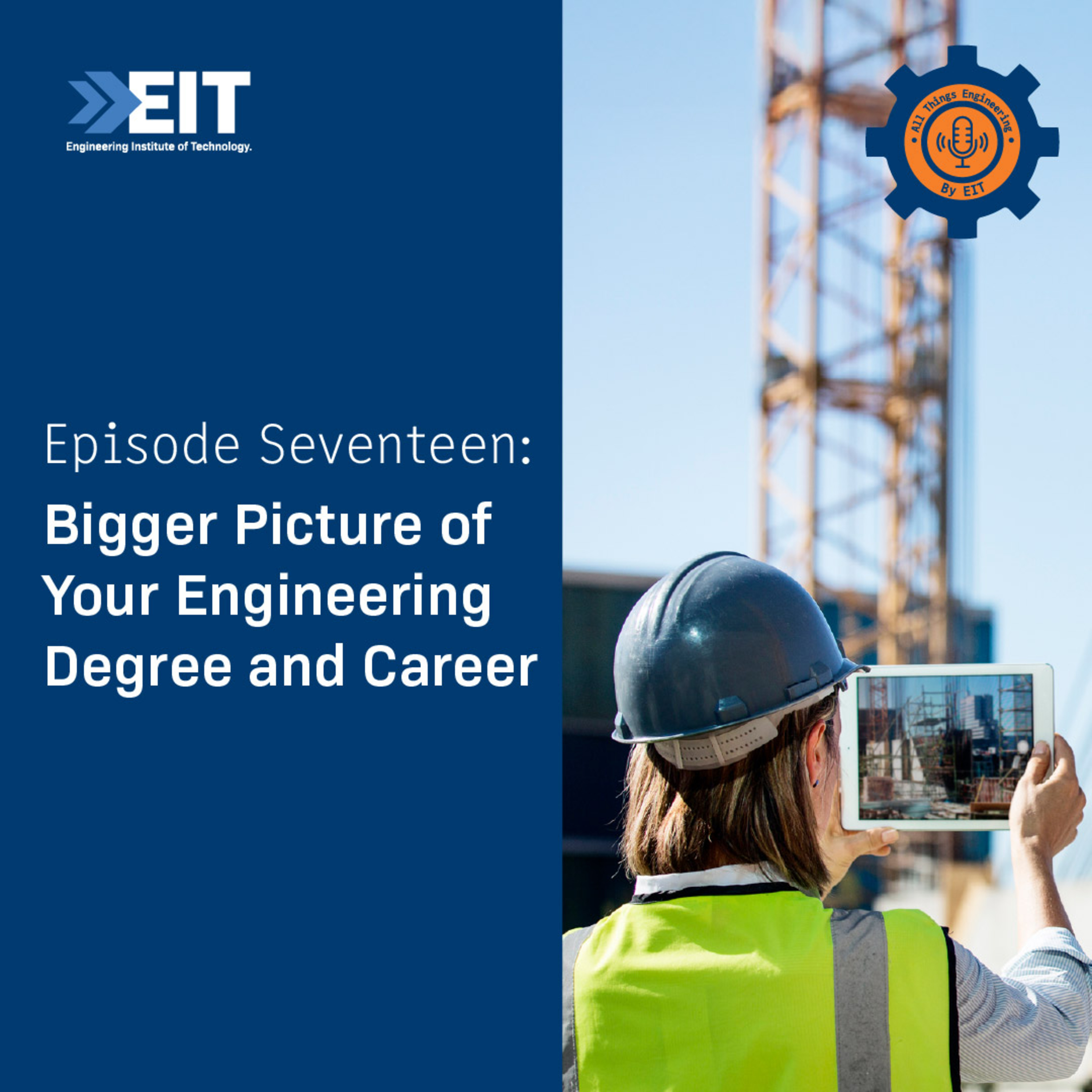 Bigger Picture of Your Engineering Degree and Career episode artwork