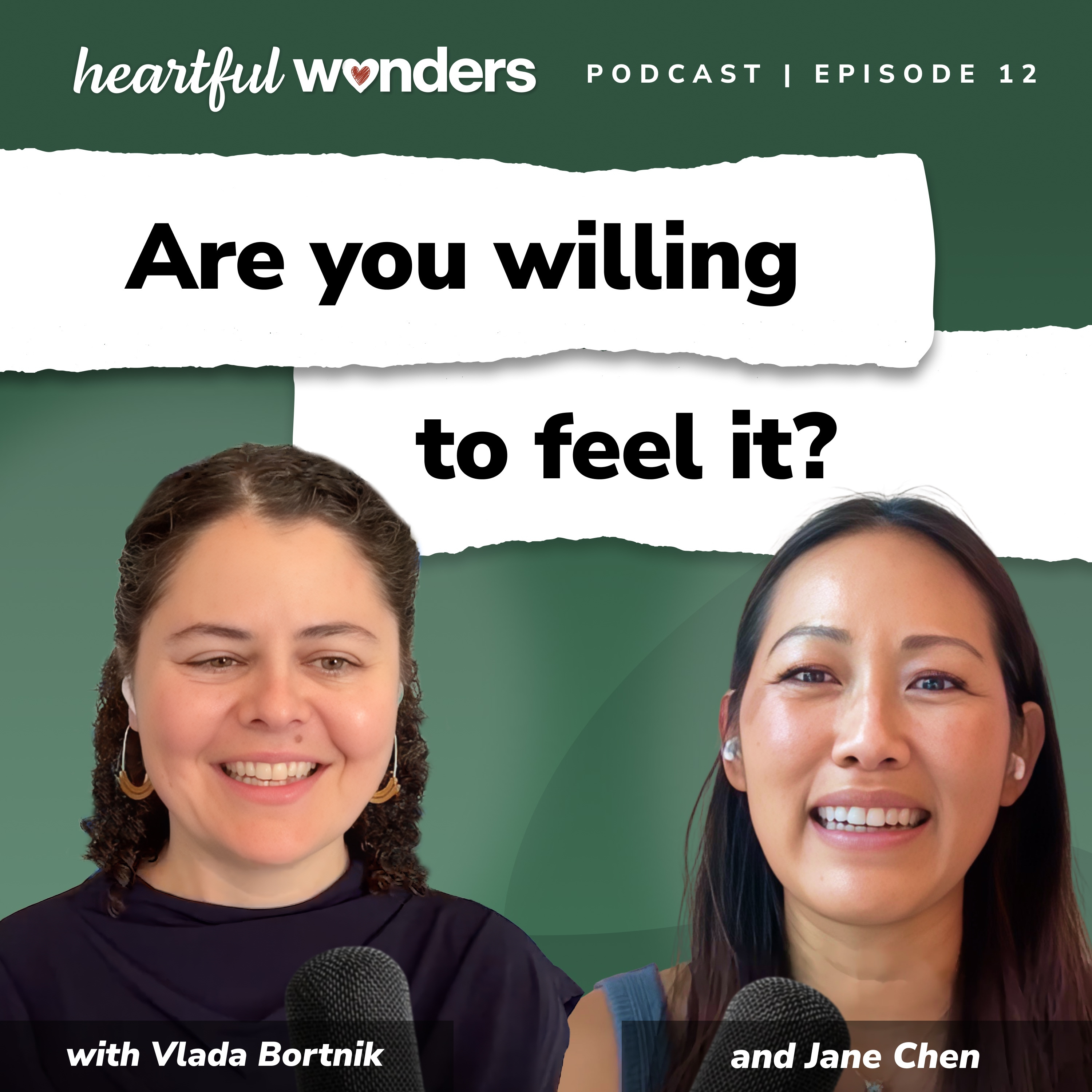 She Saved a Million Babies. The Wound Driving Her Took 10 Years to See | Jane Chen, Embrace Founder episode artwork