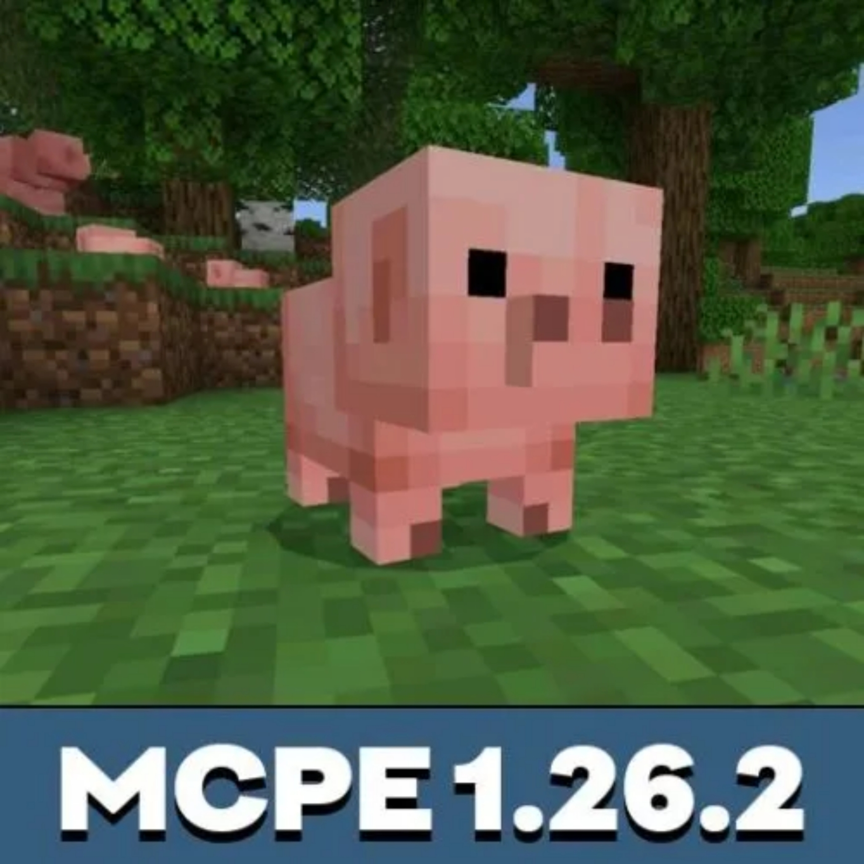 MinecraftPE.cc