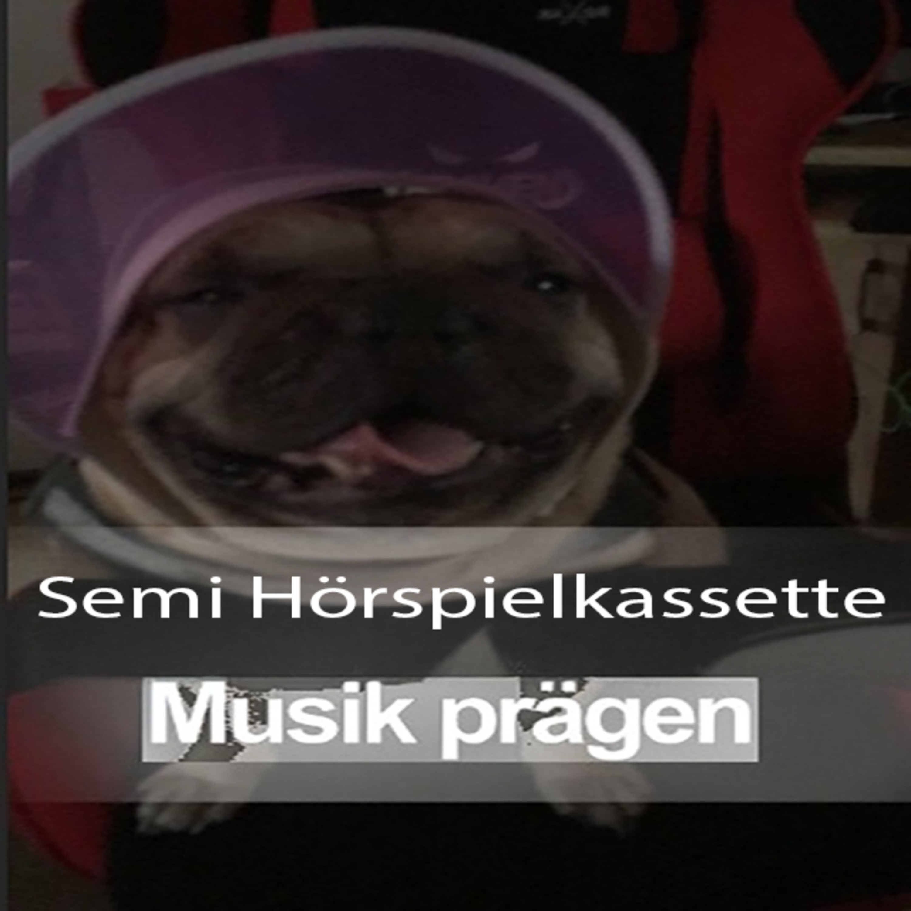 Schizophrenie - Ein stabiles Selbstbild