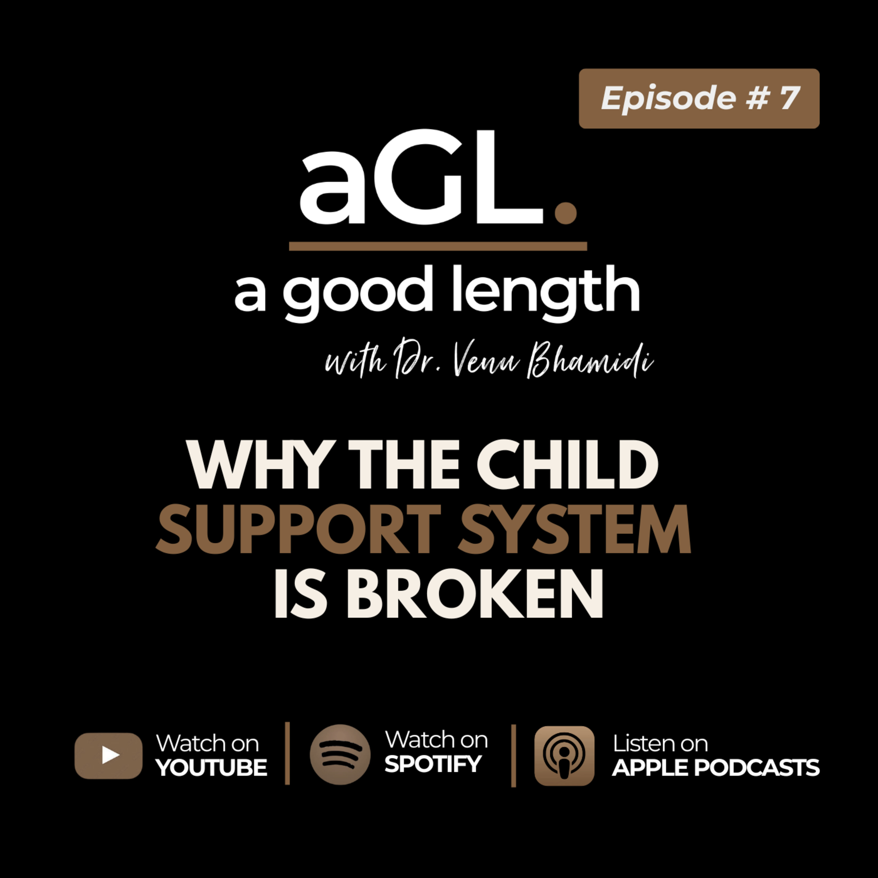 Episode 7 - Child Support: Why the System Is Broken — And How to Fix It